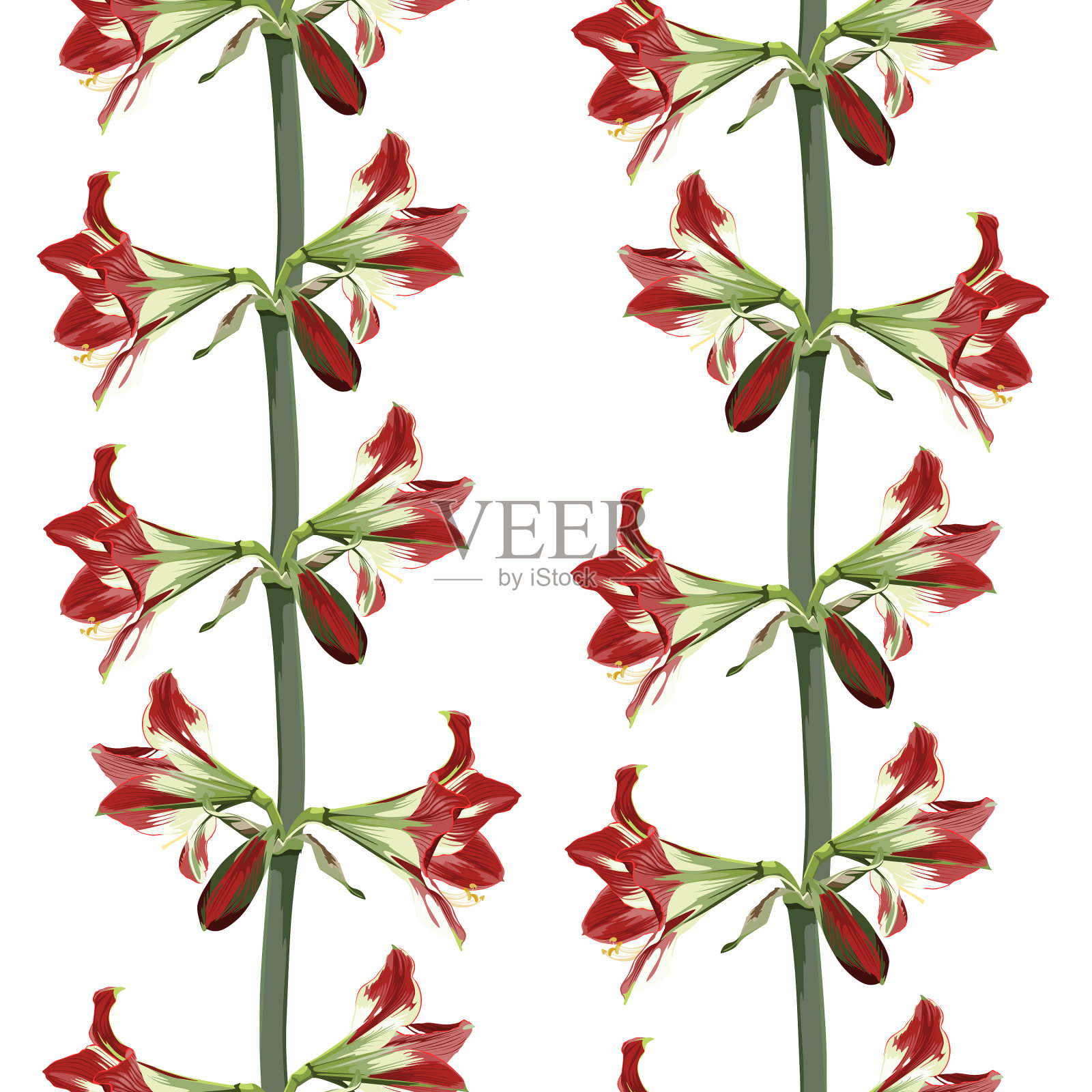 花无缝图案红色朱红色花插画图片素材