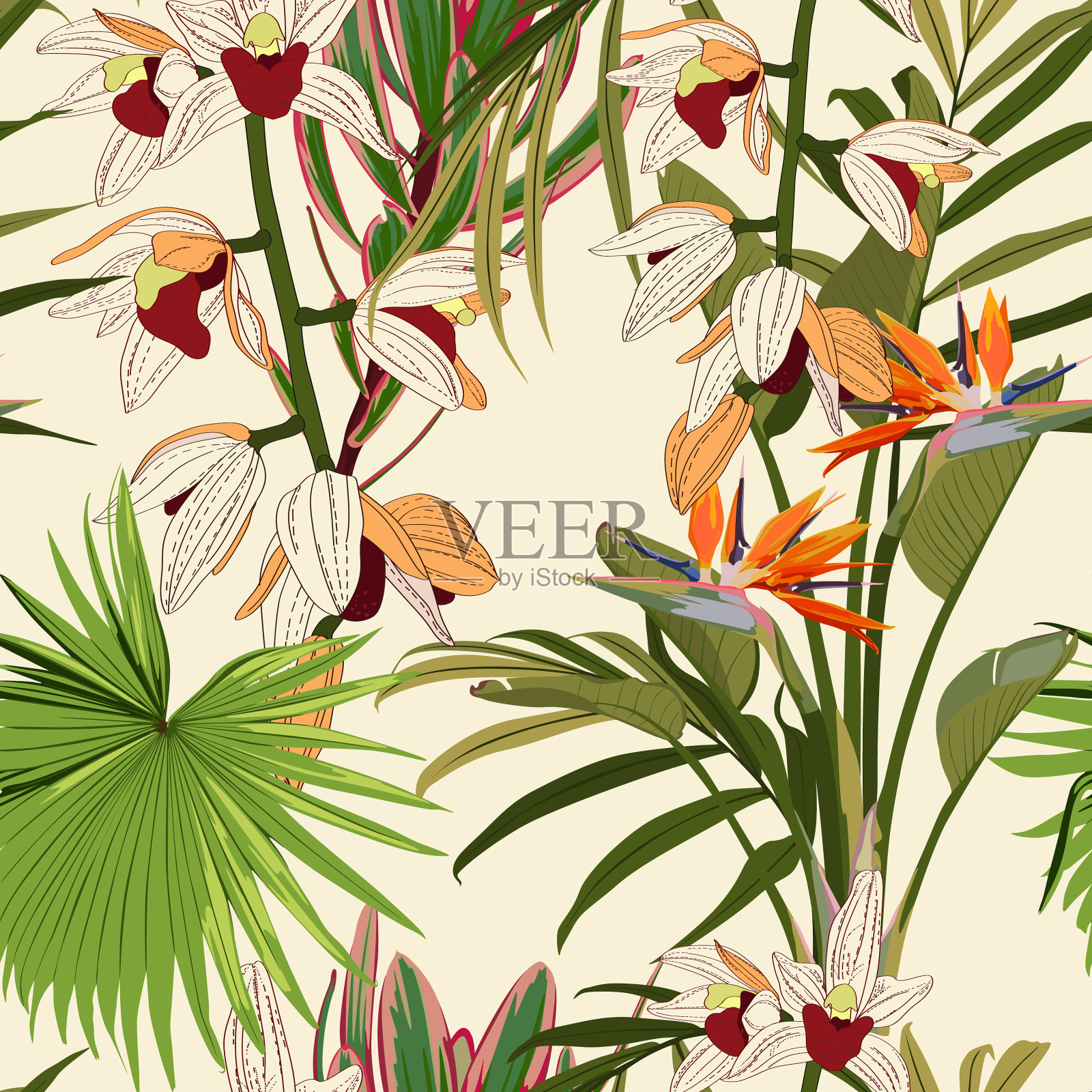 无缝花卉热带印花与异国情调的兰花插画图片素材