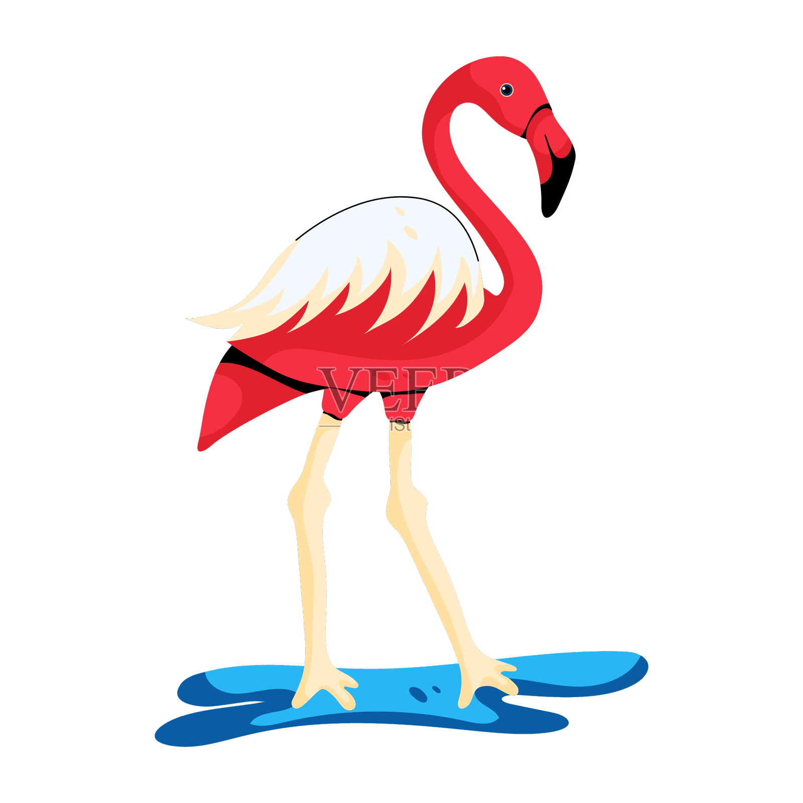 火烈鸟设计元素图片