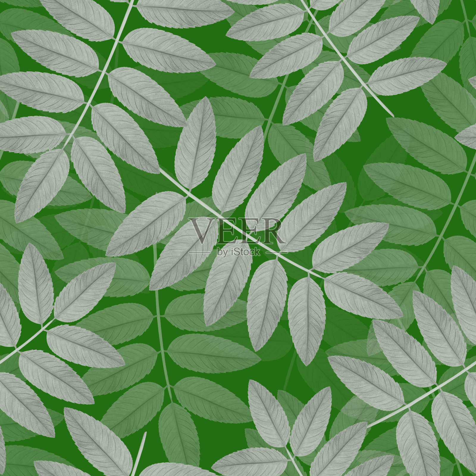 无缝图案与绿色背景上的花卉图案。插画图片素材