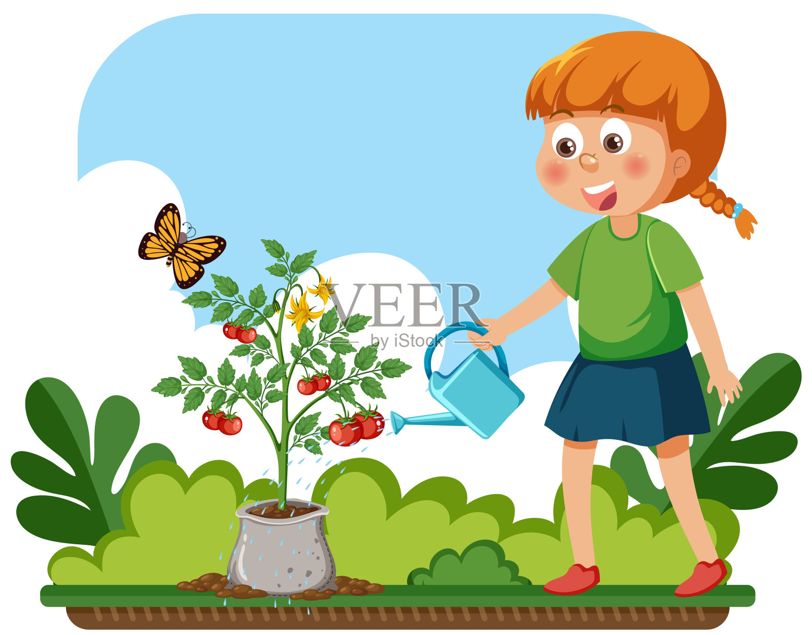 女孩在花园里用蝴蝶给番茄浇水插画图片素材