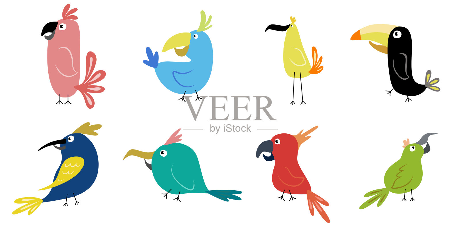 有趣的卡通鸟。鹦鹉插图集插画图片素材