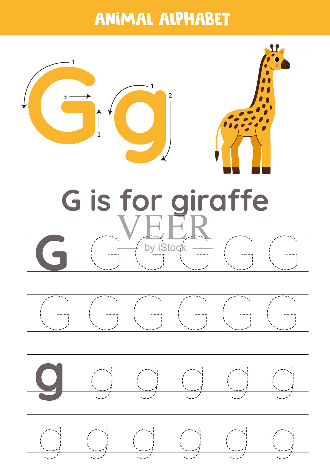 给孩子们画字母。动物的字母表。G是长颈鹿。插画图片素材