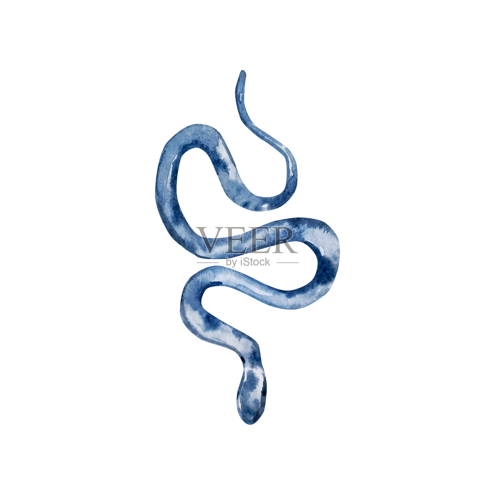 水彩蓝蛇插画图片素材