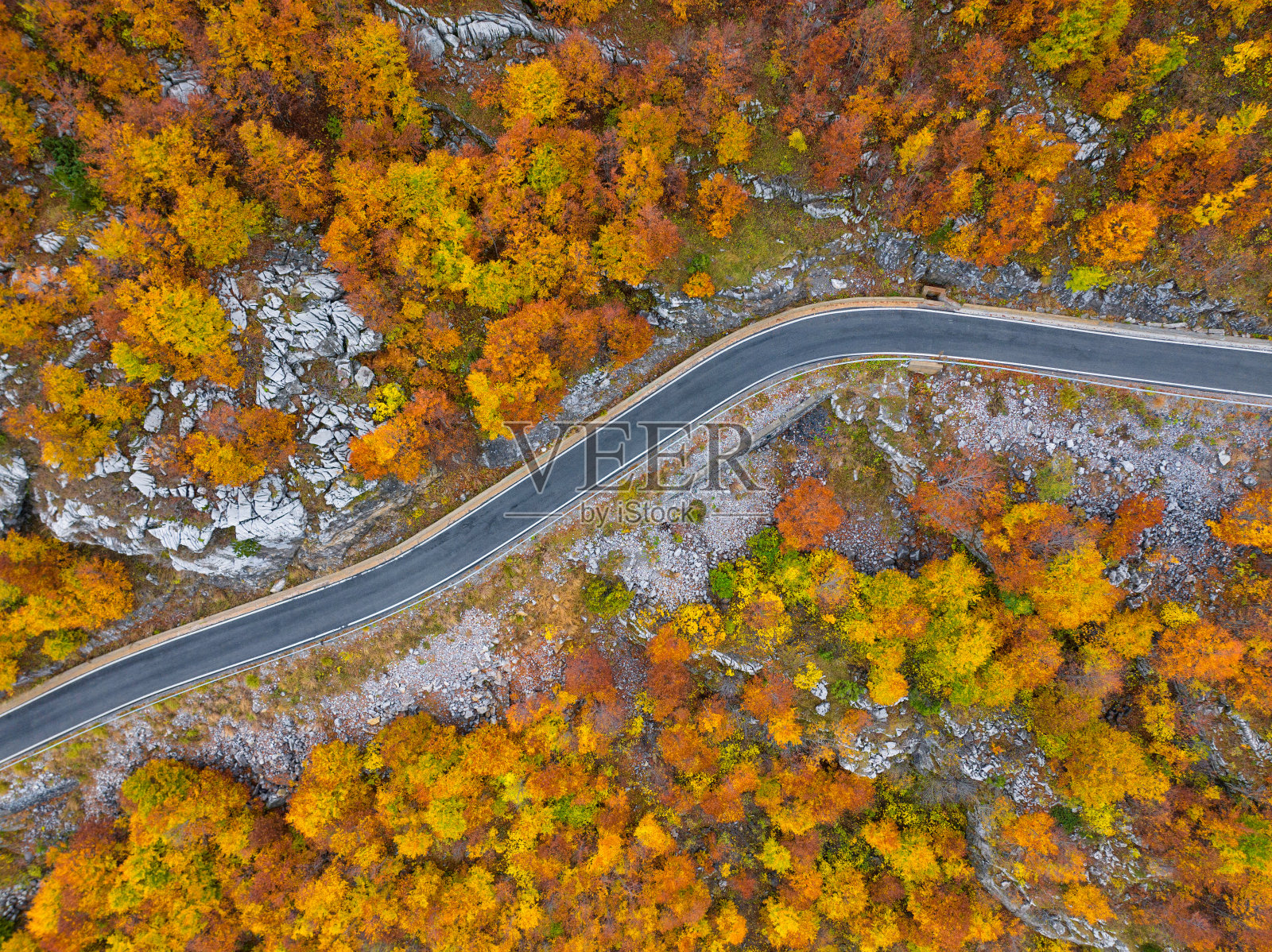 秋天美丽的色彩照片摄影图片