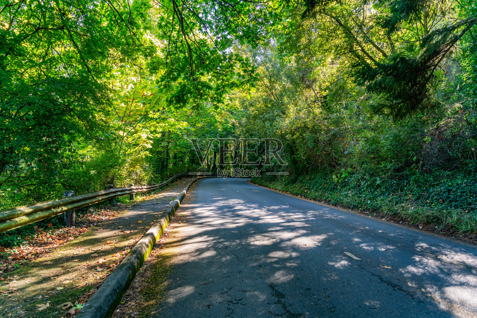 通往公园的道路照片摄影图片