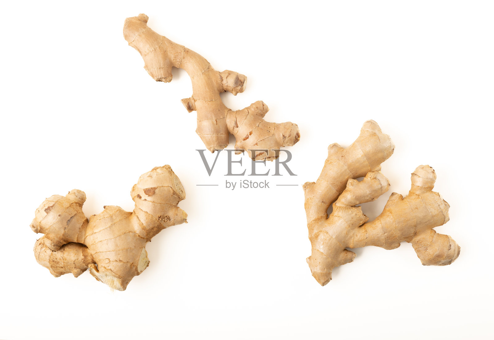 姜的根离生在白色上照片摄影图片