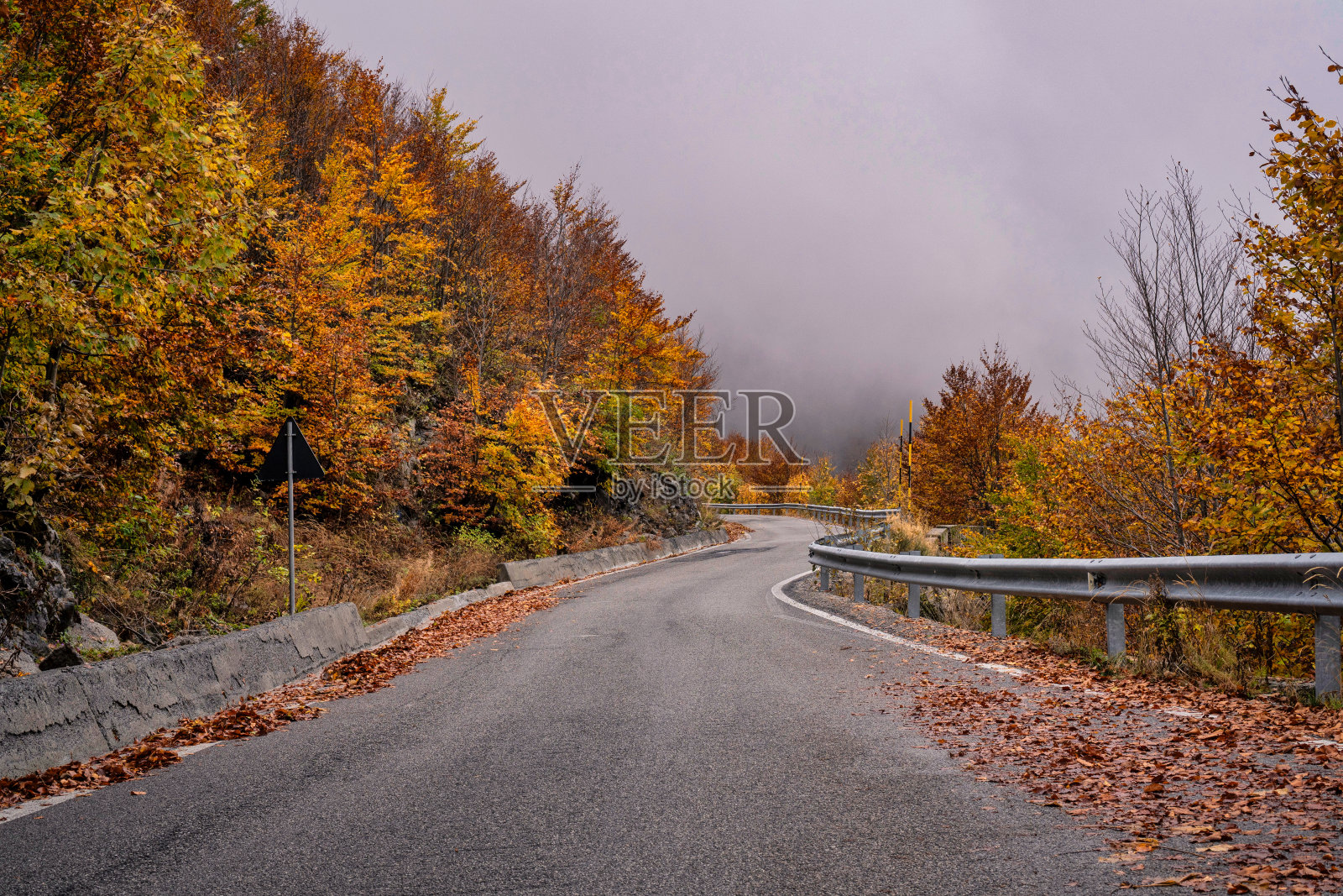 秋天美丽的色彩照片摄影图片
