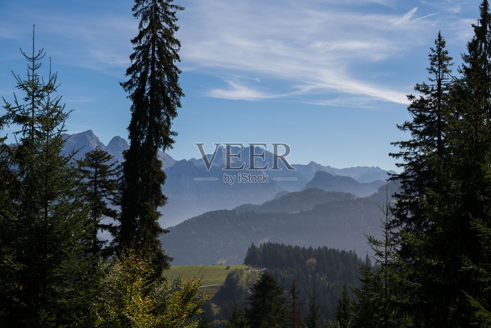 高大的树木映衬着雄伟的群山，景色优美照片摄影图片