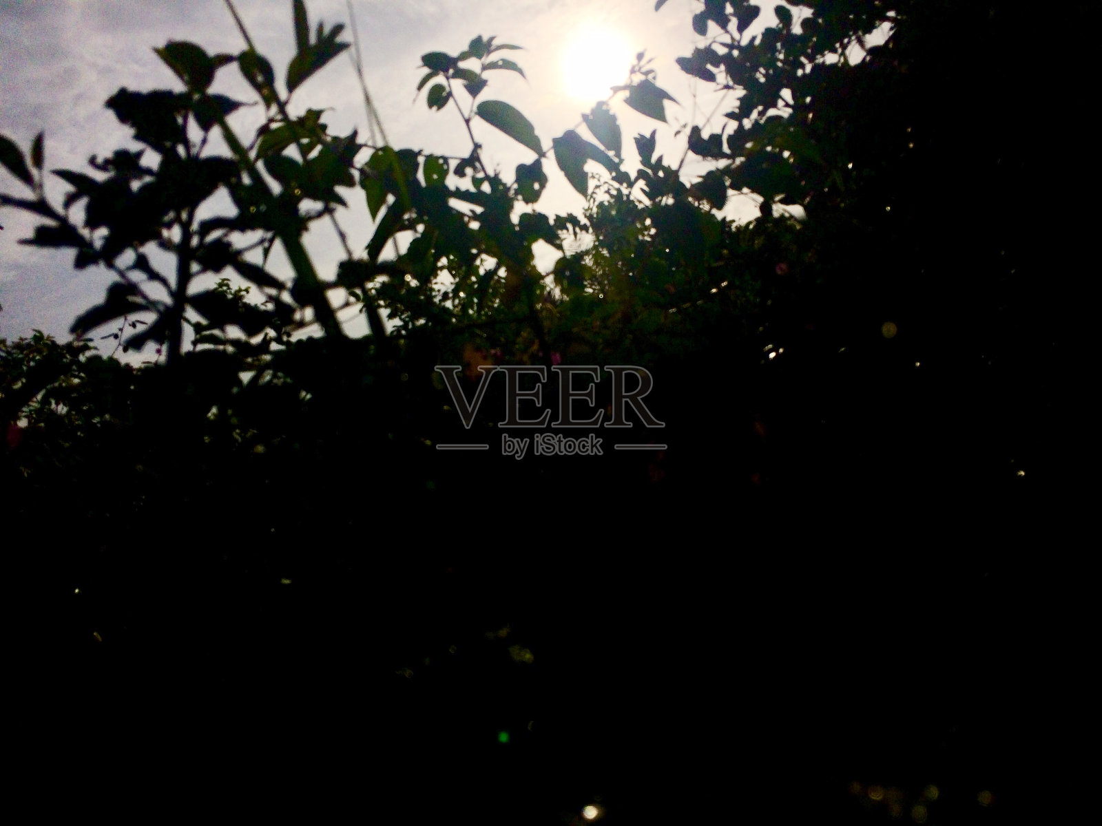 感觉照片摄影图片