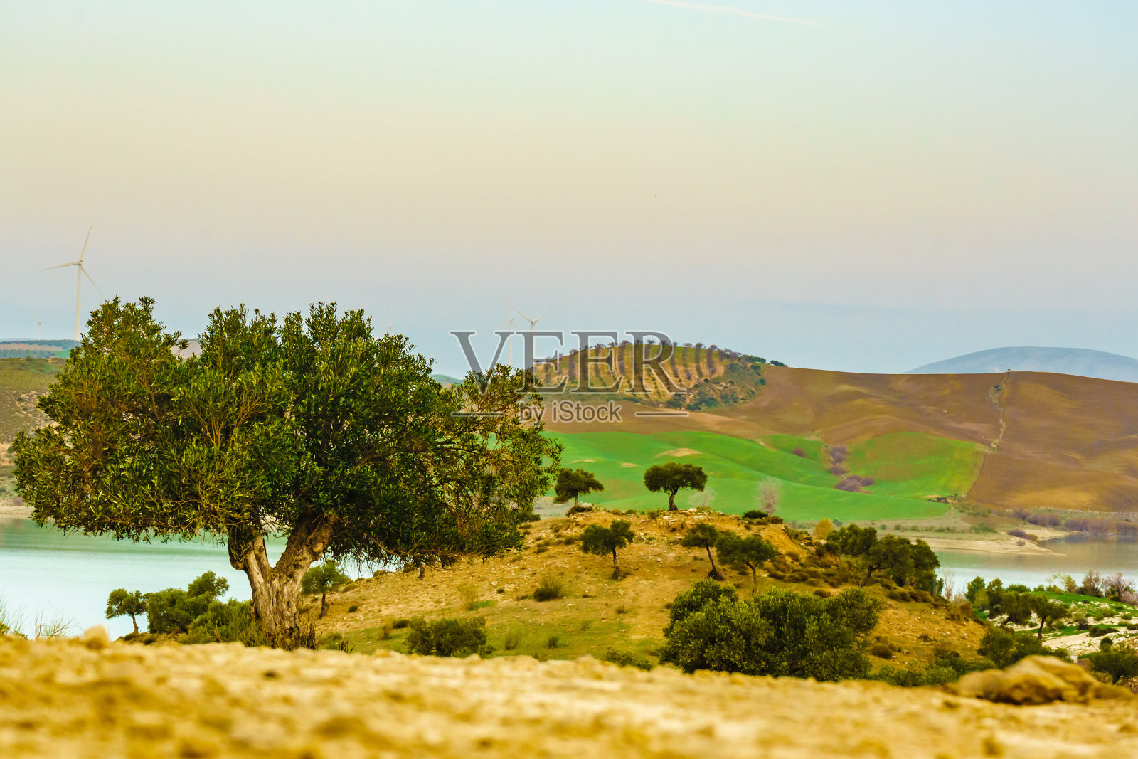 安达卢西亚阿达莱斯附近的西班牙山丘照片摄影图片