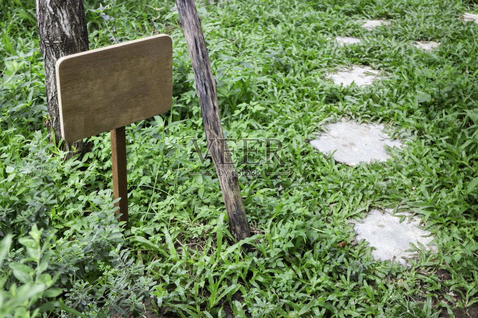 舒适的咖啡厅氛围内部照片摄影图片