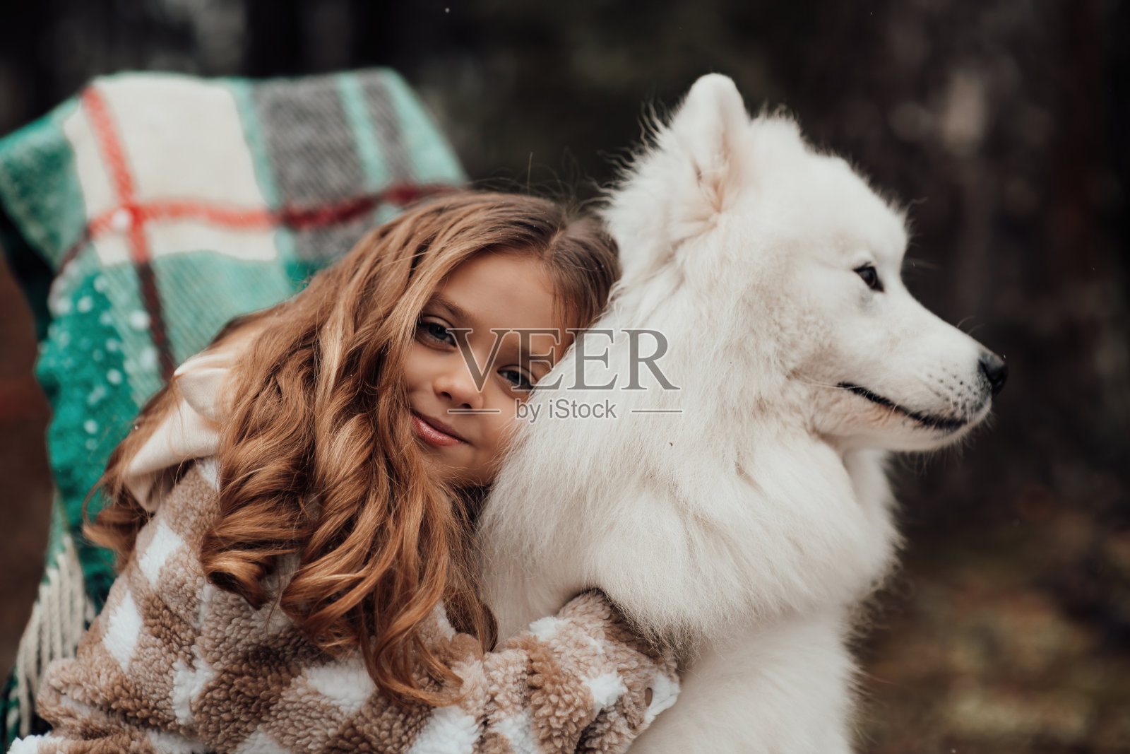 小女孩和白色萨摩耶犬在户外圣诞巴士附近玩耍照片摄影图片