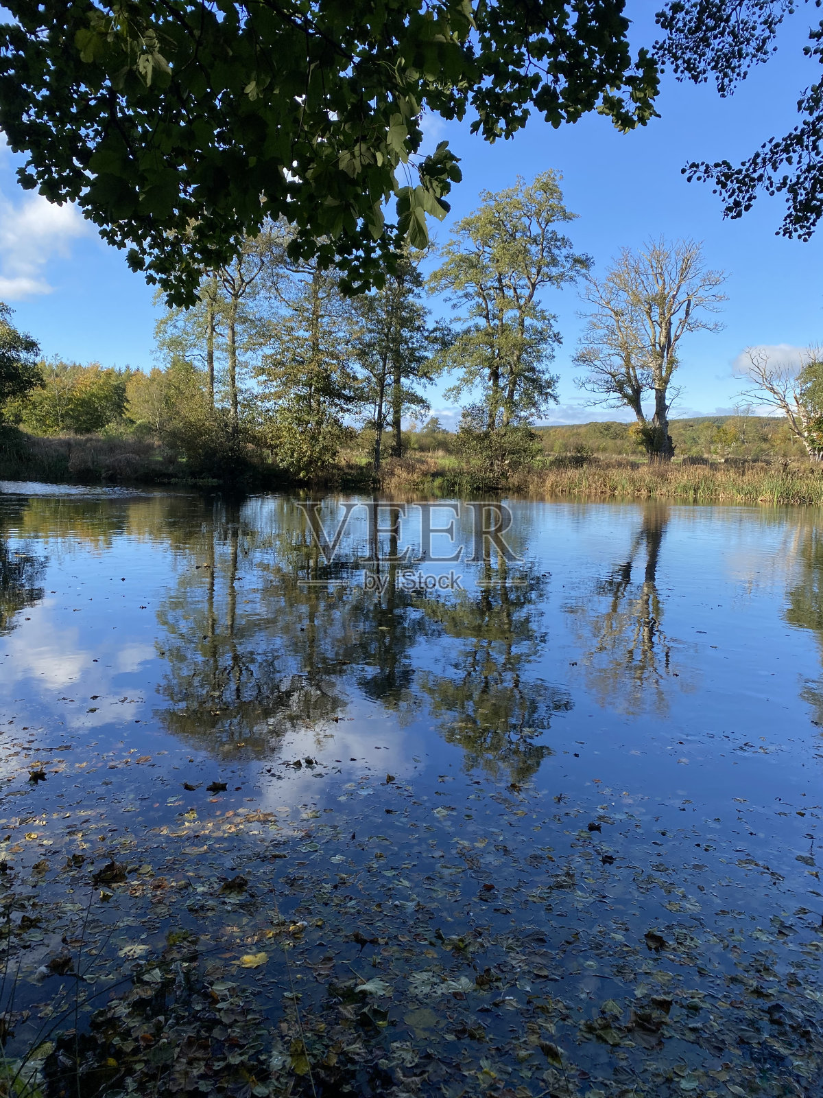 湖倒影照片摄影图片