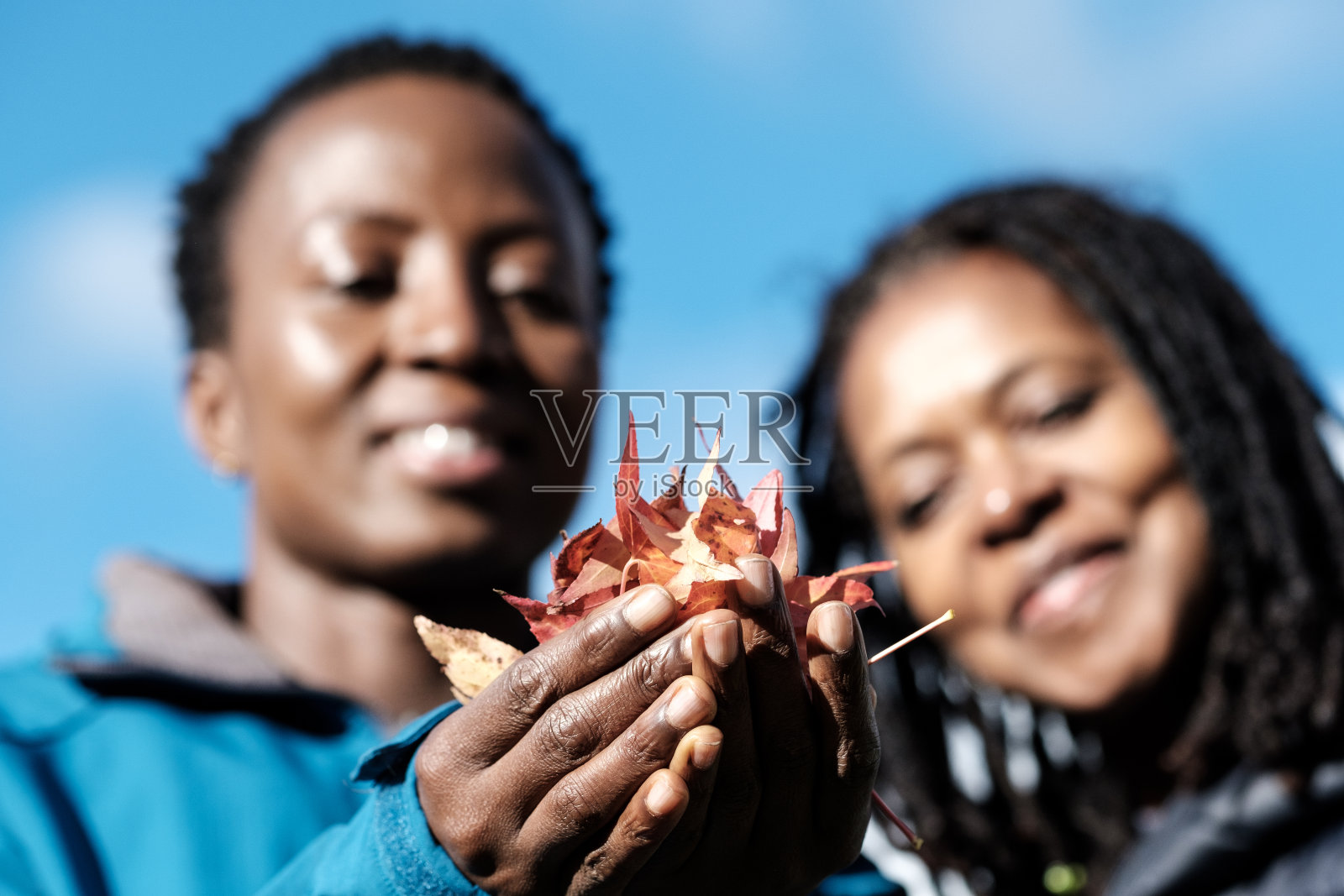 女人手中的秋叶特写。照片摄影图片