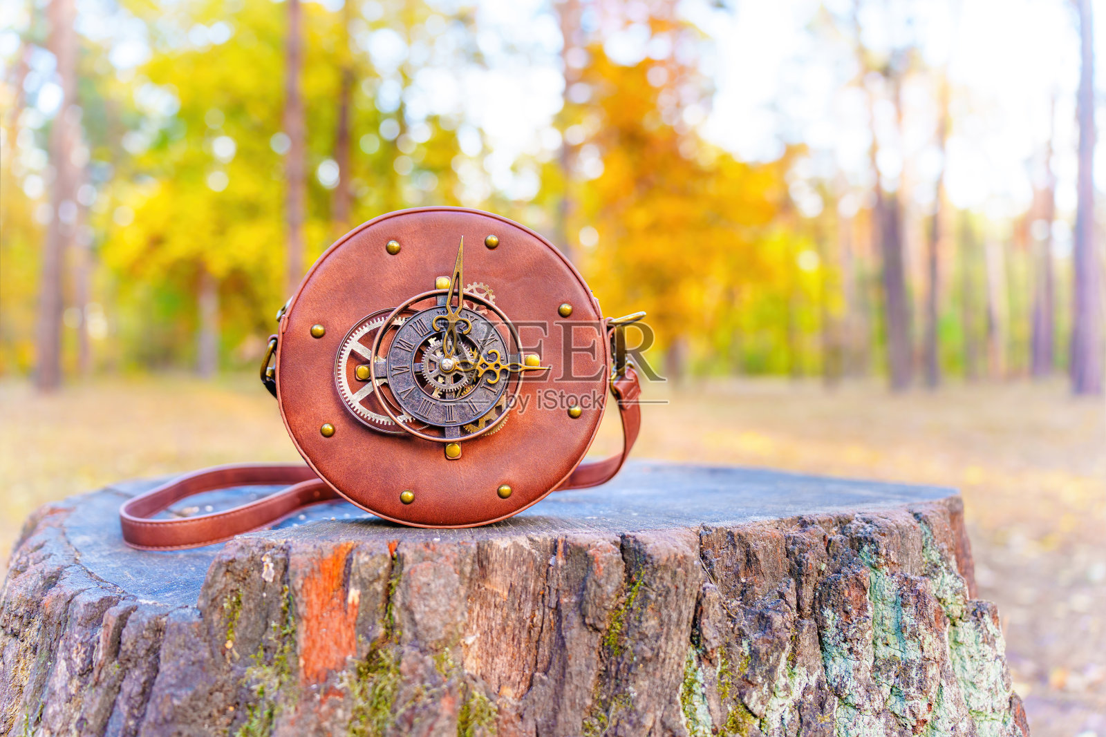 复古优雅:发条配件在大自然照片摄影图片