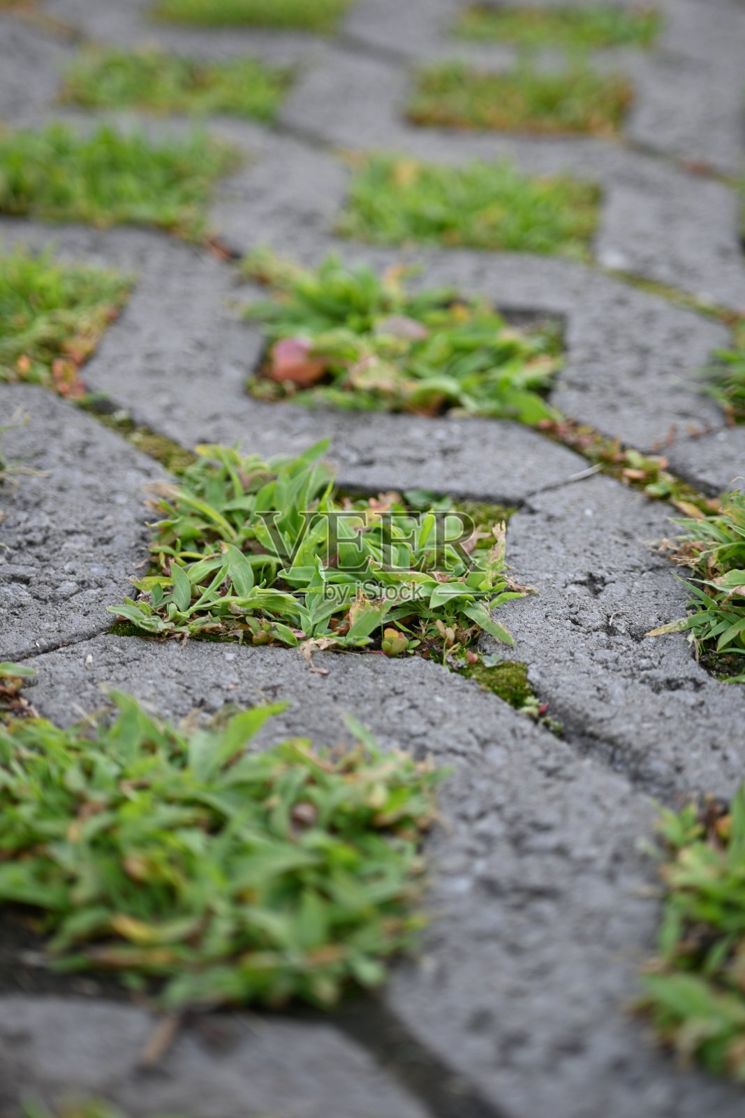 混凝土草坪格栅配草，背景纹理为灰色天然石材制成的方砖。混凝土路面覆盖，几何铺装模式，绿色草坪和生态停车场，绿色停车，可持续发展城市照片摄影图片
