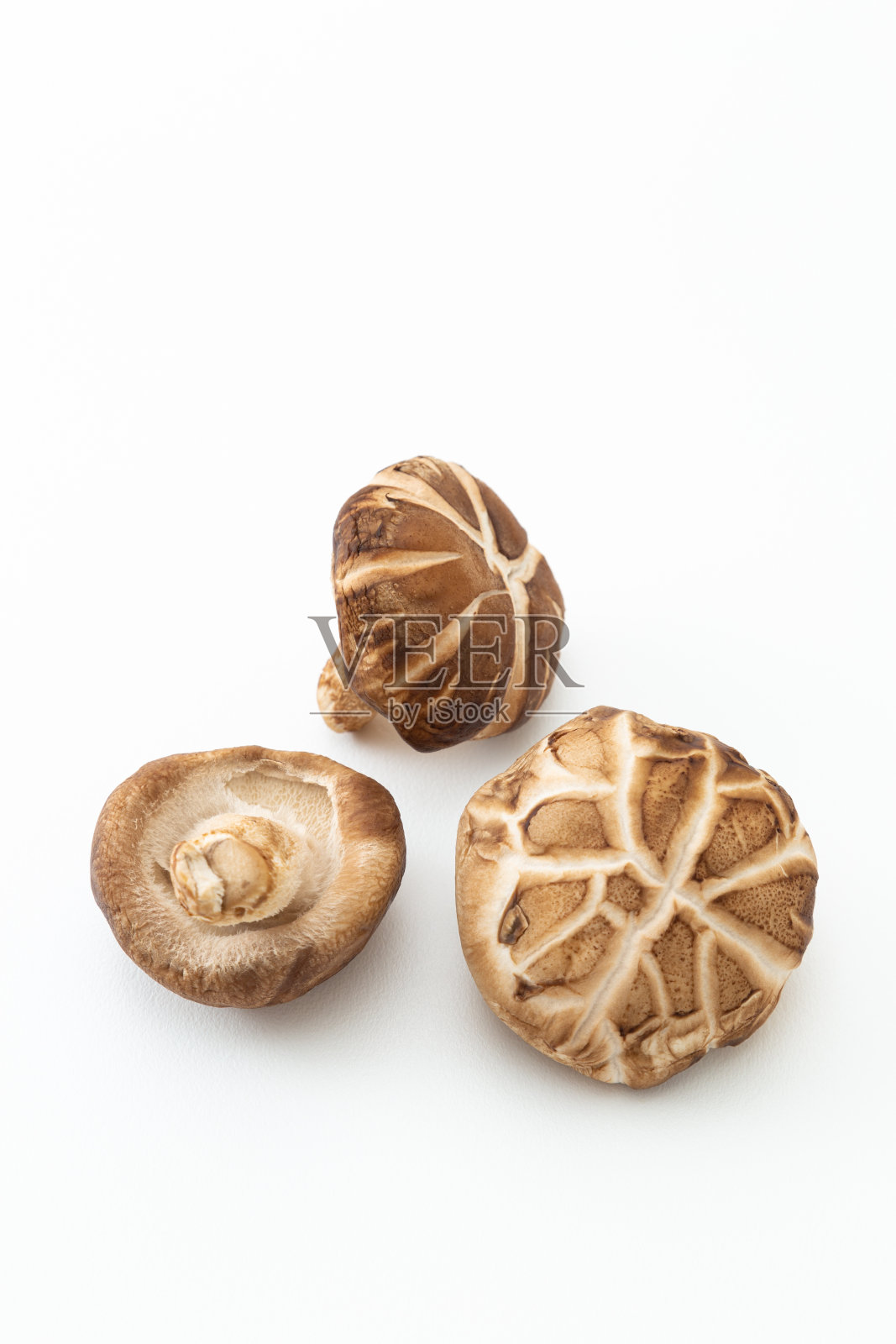 白色背景上的香菇照片摄影图片