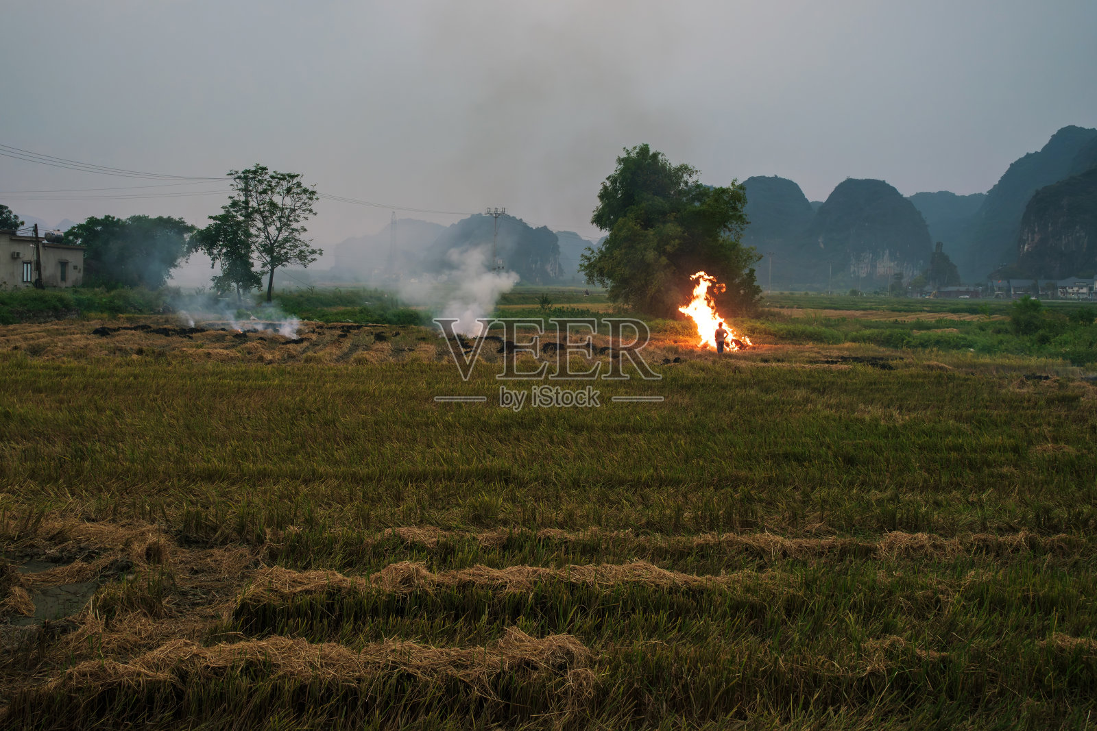 在越南宁平喀斯特山脉前，收割后的稻田正在燃烧照片摄影图片