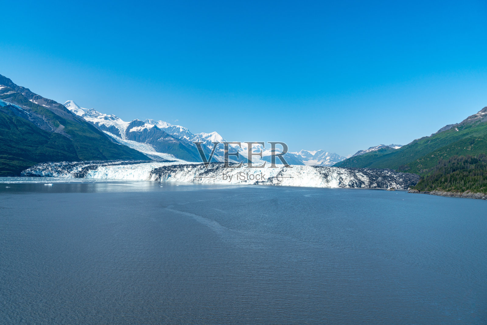 美国阿拉斯加州威廉王子湾大学峡湾的哈佛冰川照片摄影图片