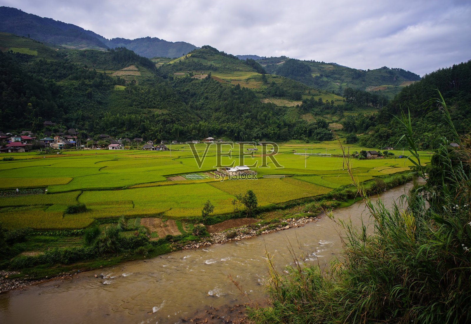 越南北部的梯田照片摄影图片