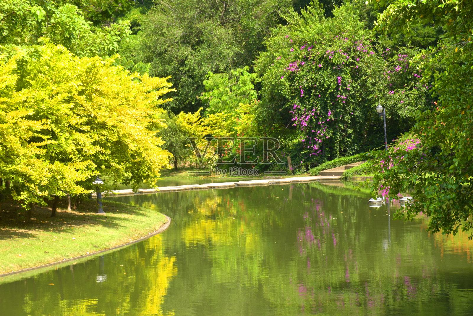 泰国曼谷花园城市的湖泊美景和绿树照片摄影图片
