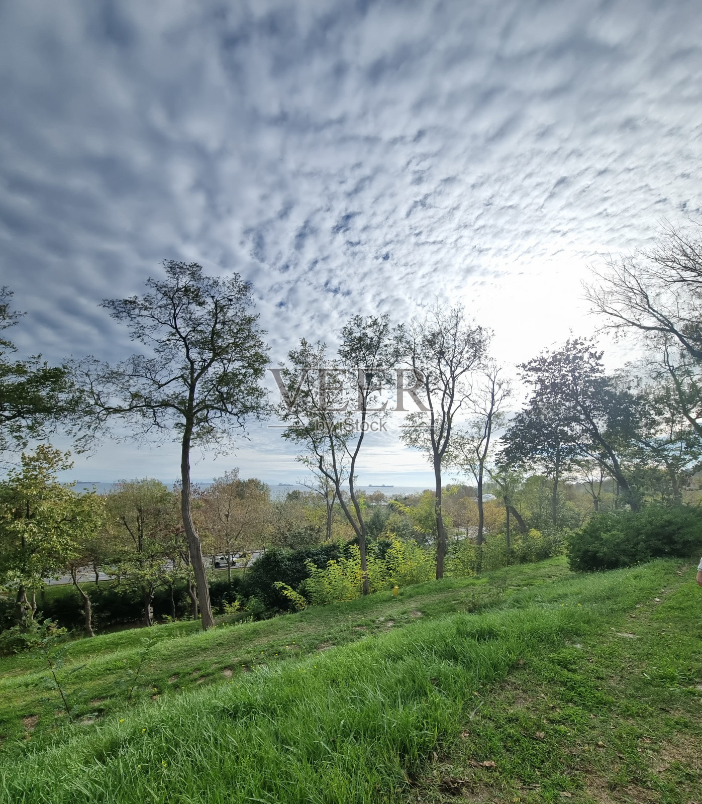 伊斯坦布尔的天空照片摄影图片