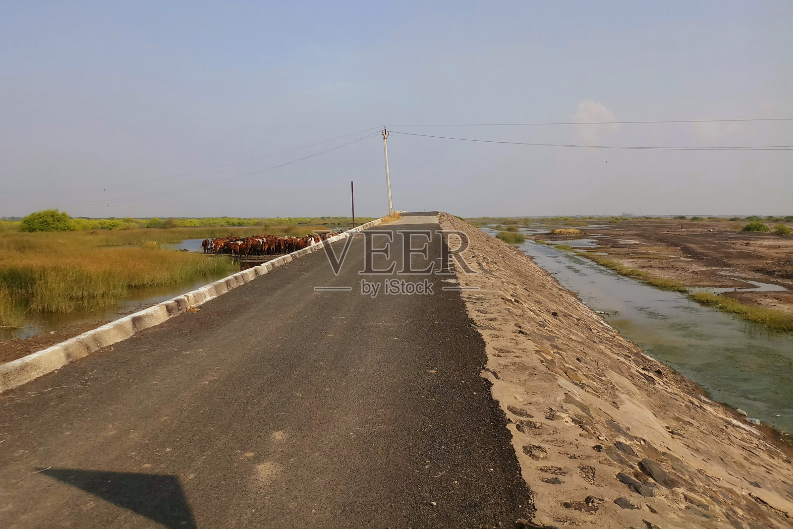 自驾游m5照片摄影图片