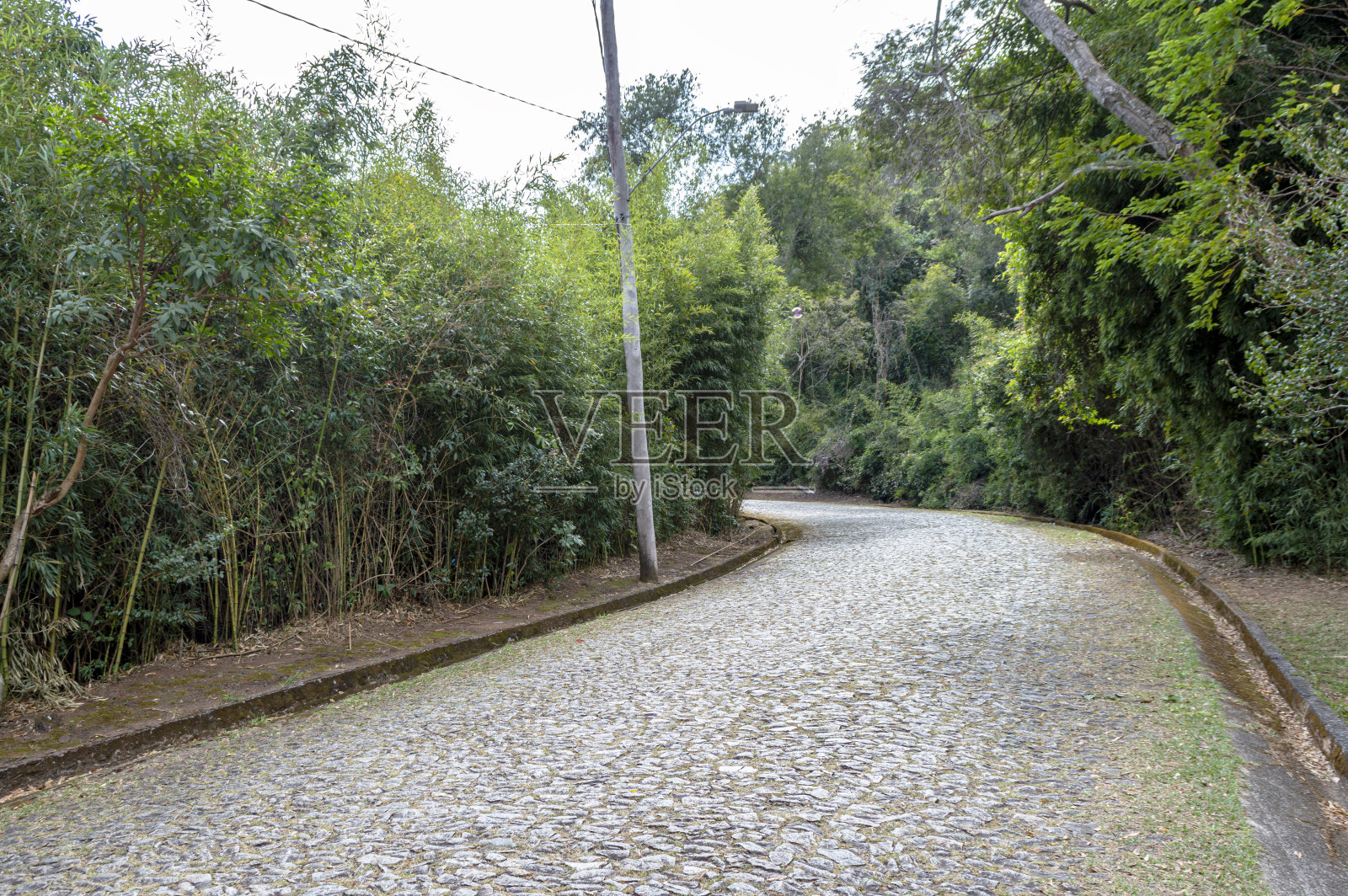 贝洛奥里藏特市森林边缘的鹅卵石小径。竹林。水平的。照片摄影图片