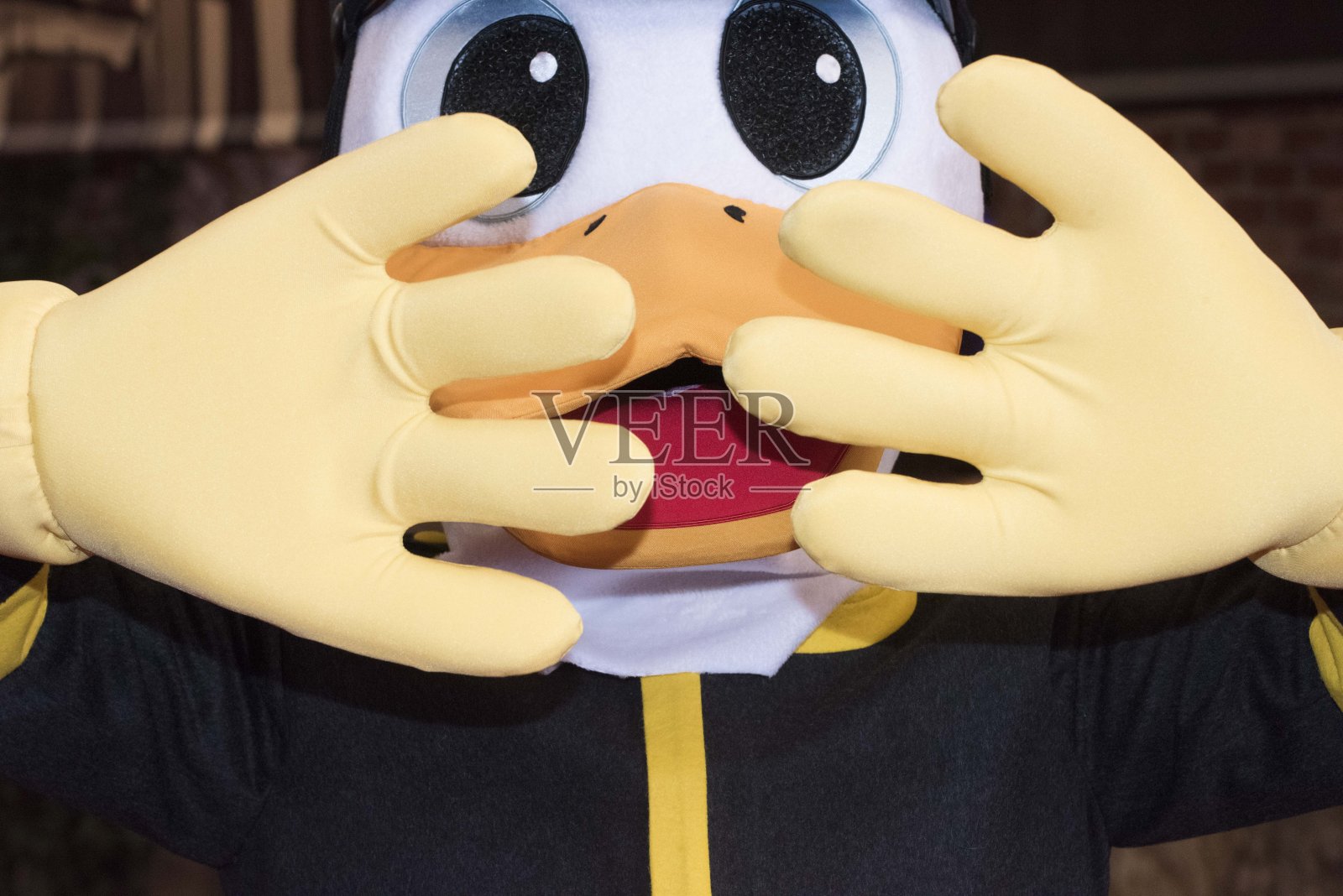 鸭鸟大部分生活在水里照片摄影图片