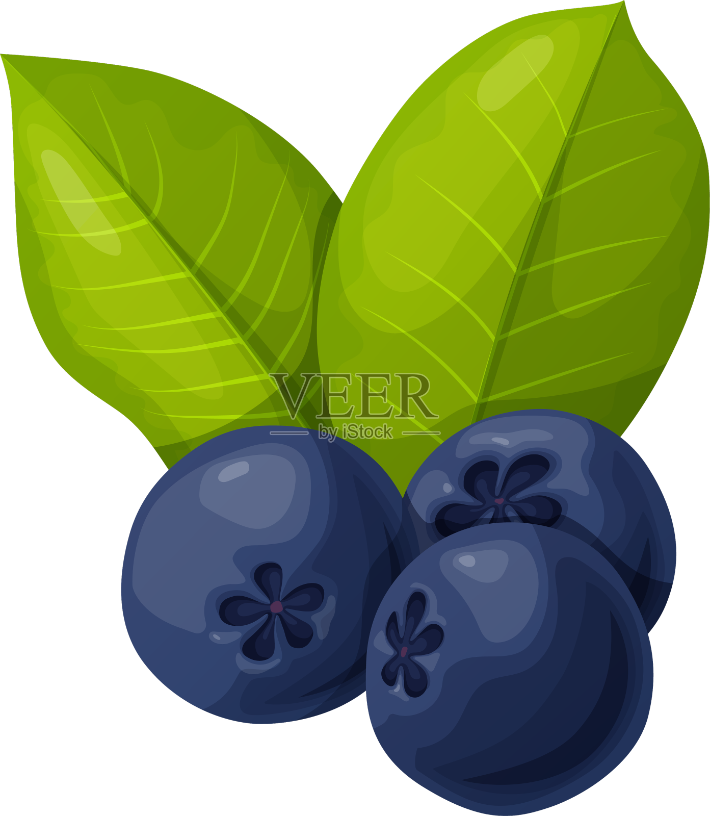 蓝莓是卡通风格的植物食品设计元素图片