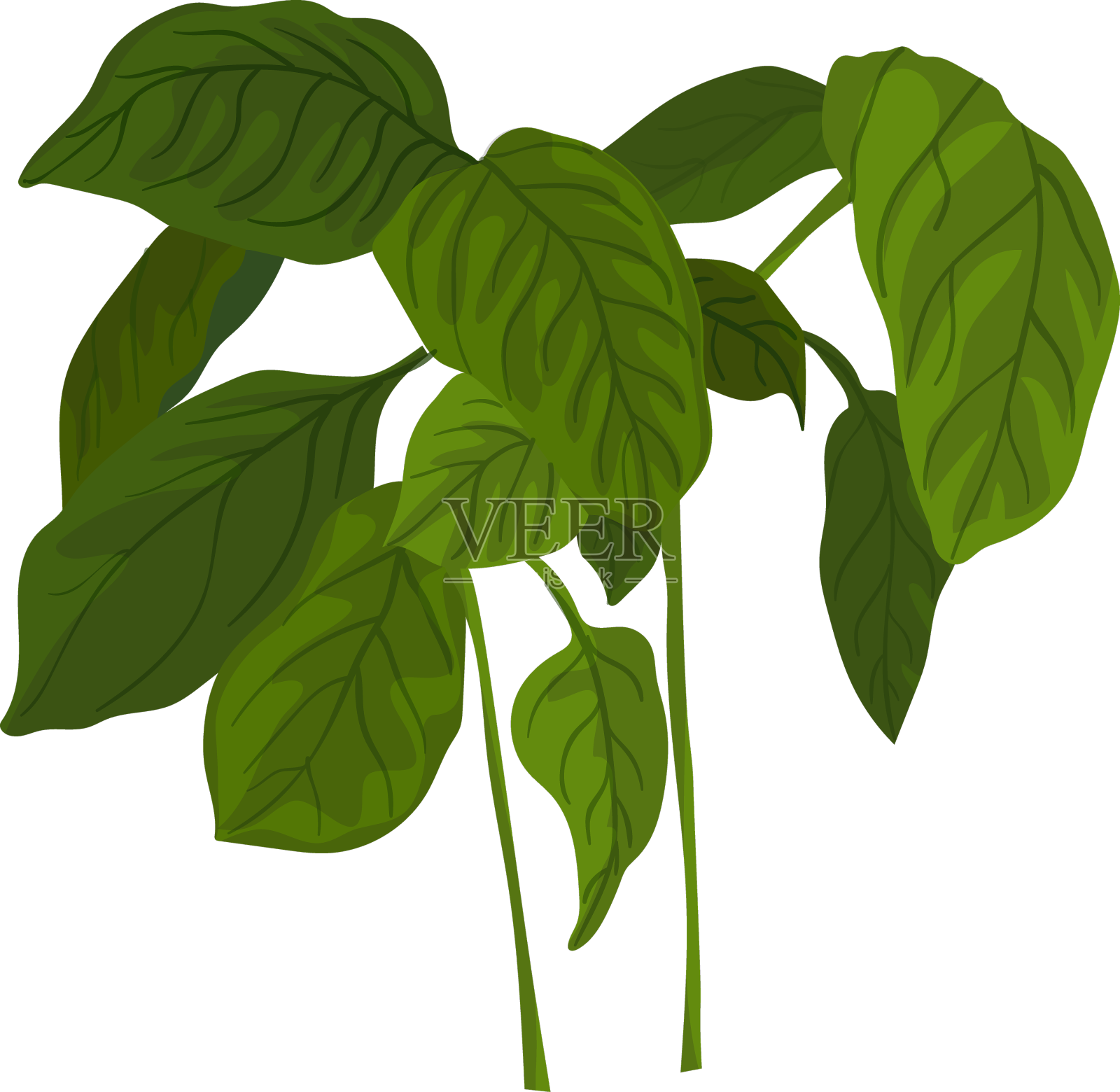 罗勒青设计元素图片