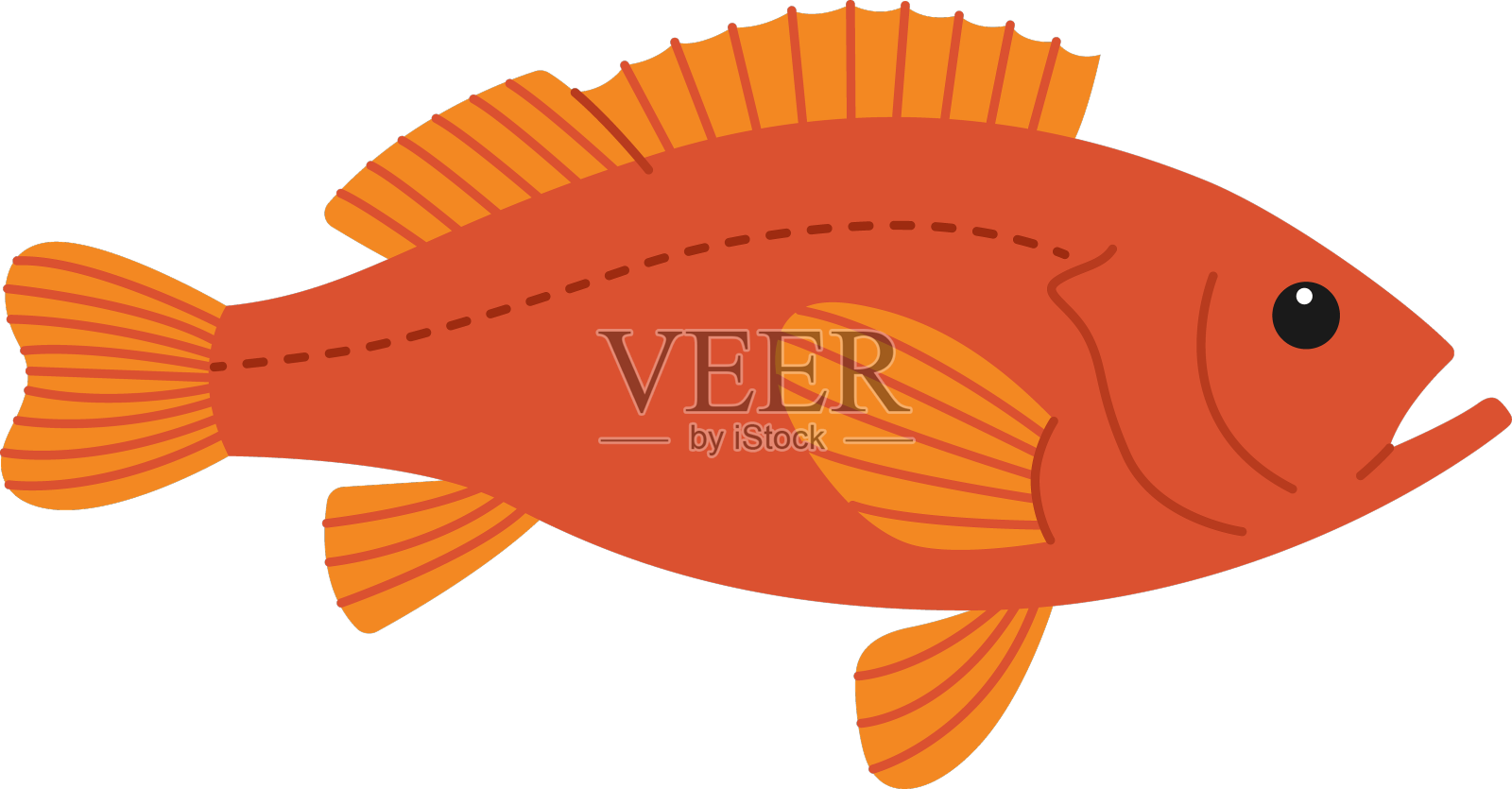 可爱的橙色海鲈鱼和海鱼设计元素图片