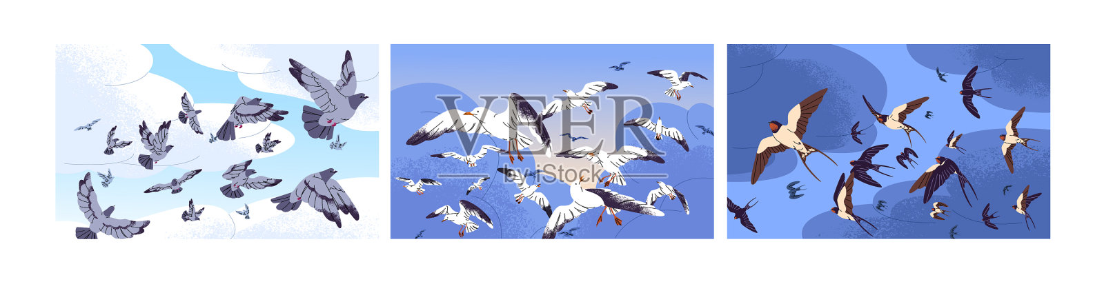 不同的鸟儿飞在春天的天空集燕子插画图片素材
