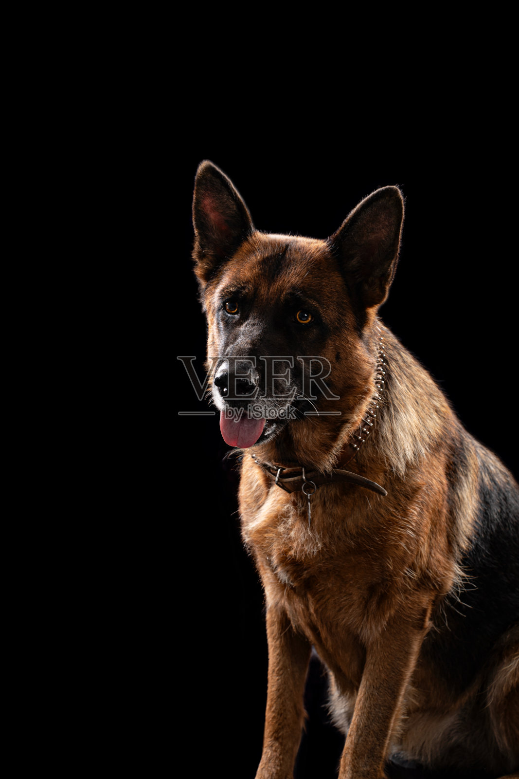 海尔格照片摄影图片