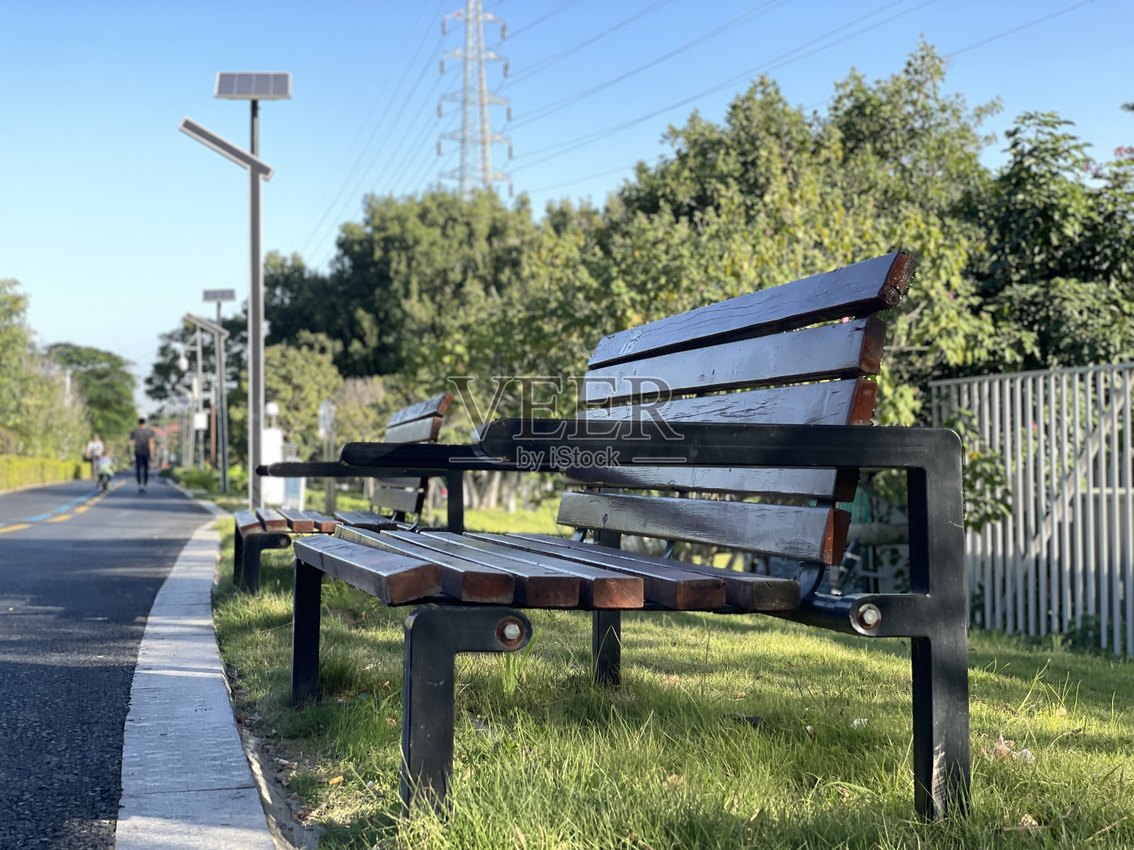 宁静的公园景观，有长凳和小路照片摄影图片