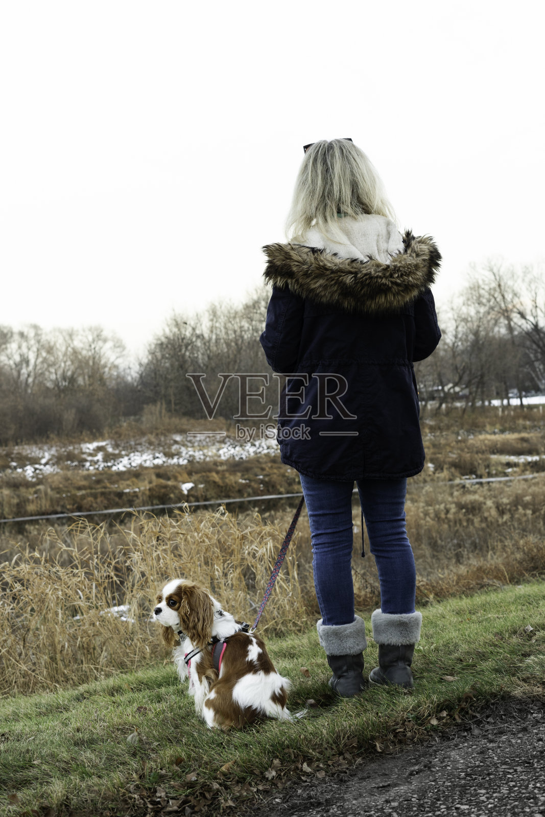 金发女人和西班牙国王犬照片摄影图片