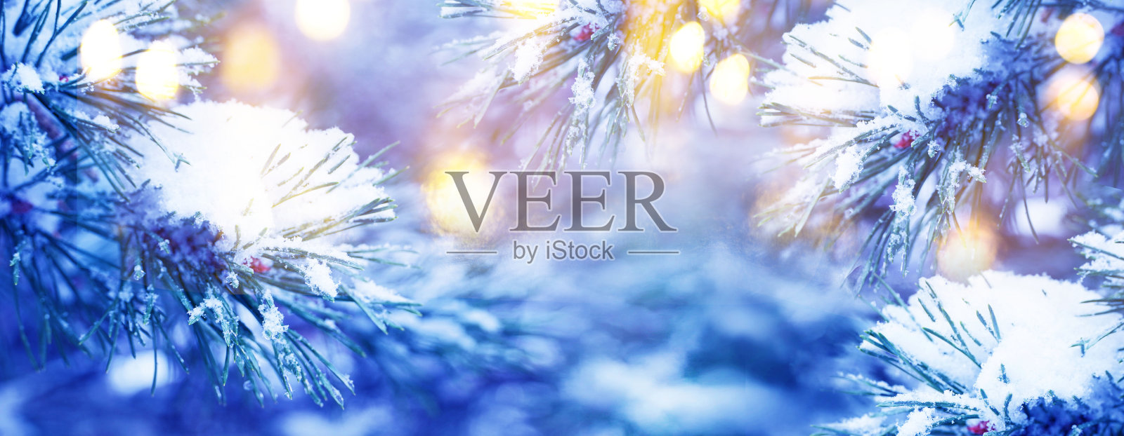 圣诞树。圣诞新年冬天模糊的背景。神奇的冬季雪景。圣诞贺卡。圣诞灯。文本空间。照片摄影图片