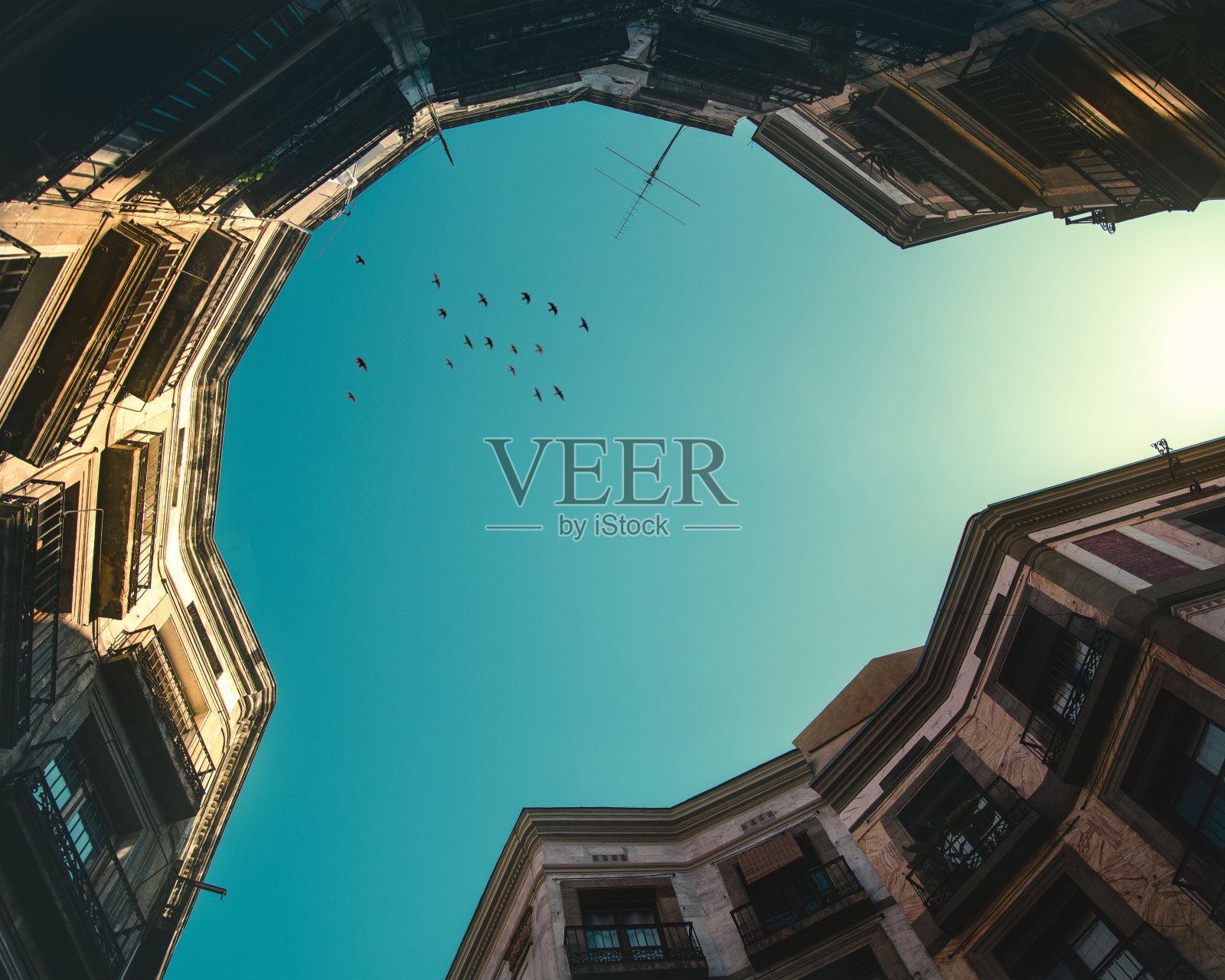 圆形照片摄影图片