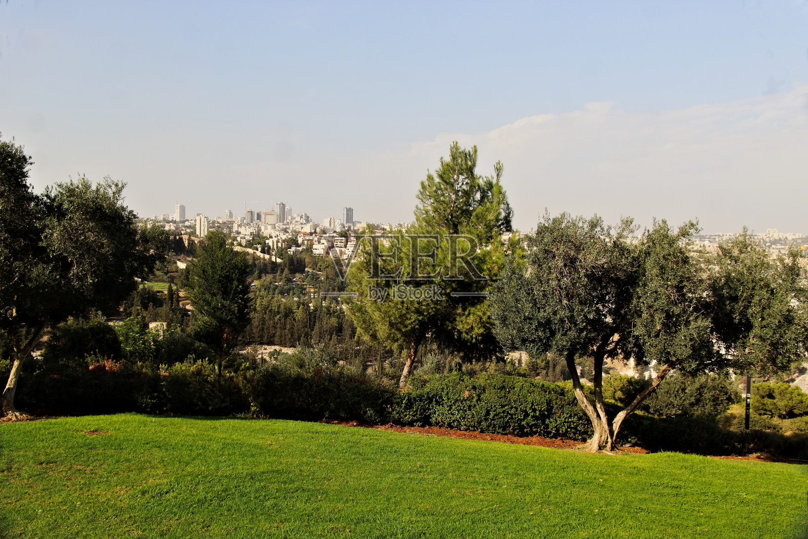 东耶路撒冷的宁静森林照片摄影图片