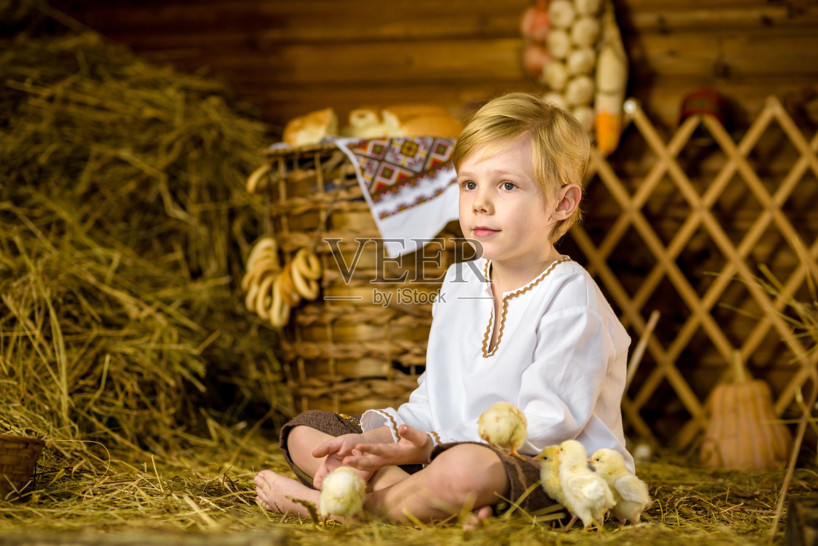 复活节童话，一个男孩带着小鸡在谷仓里玩耍。美丽的照片摄影图片