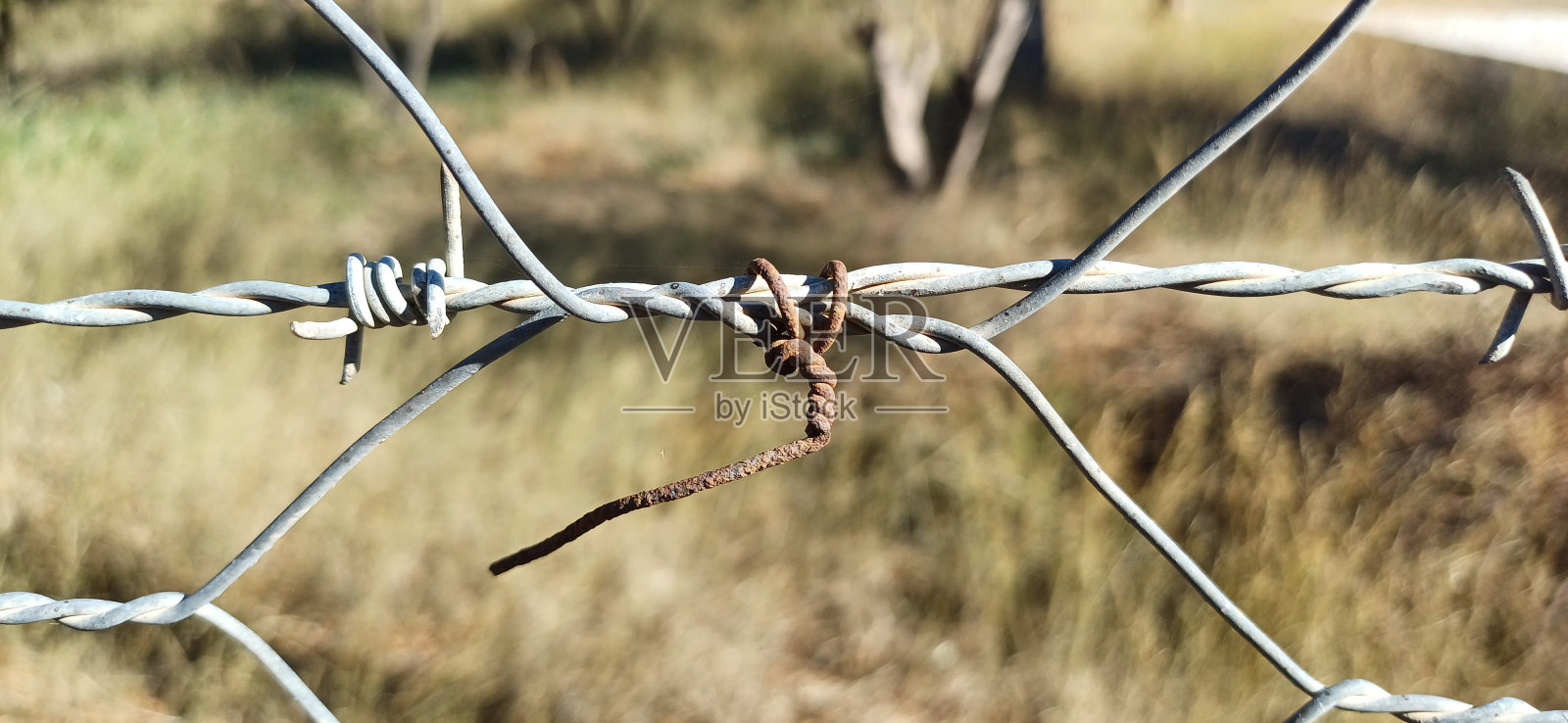 铁丝网照片摄影图片