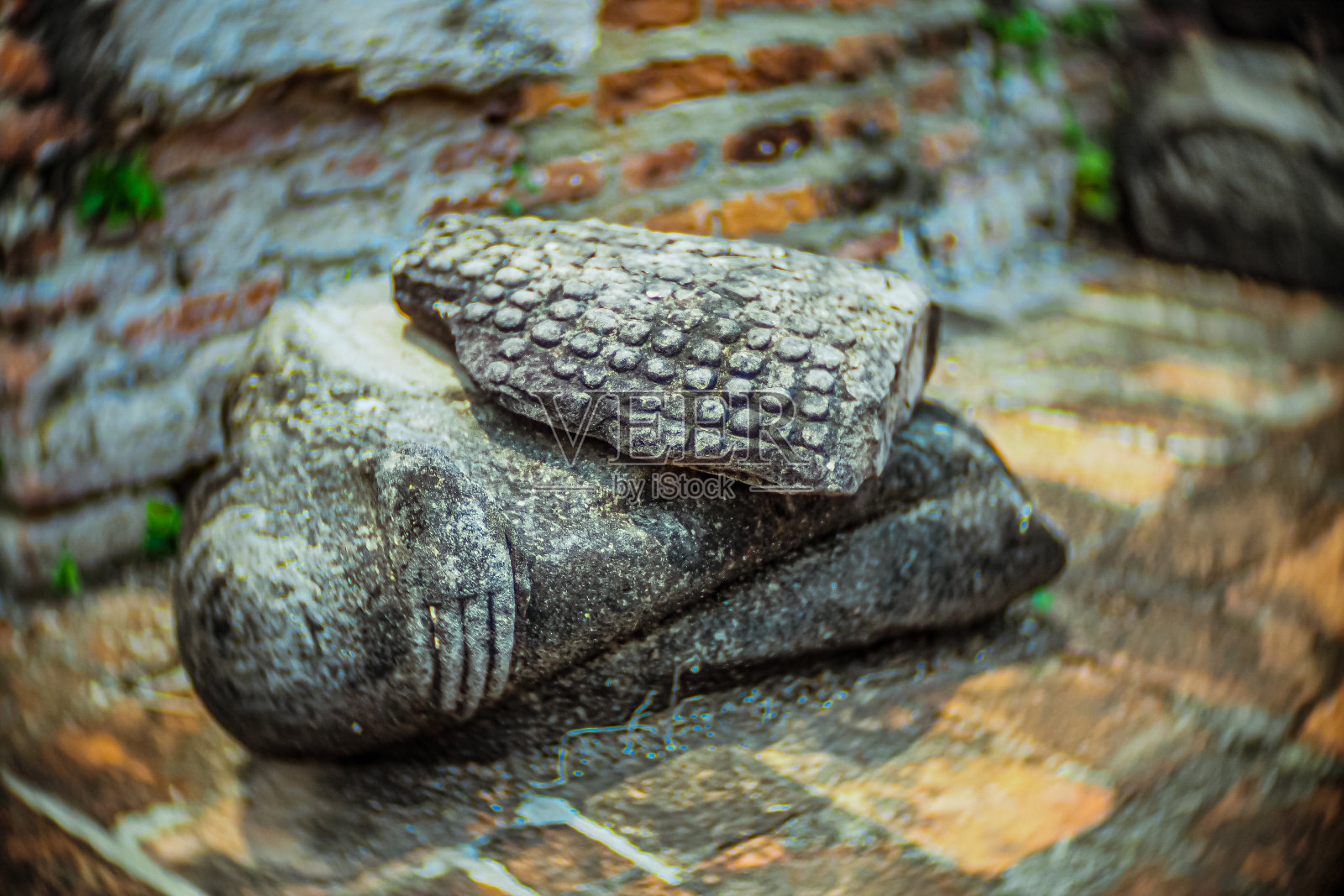 探索泰国大城府联合国教科文组织遗产和文化奇迹照片摄影图片