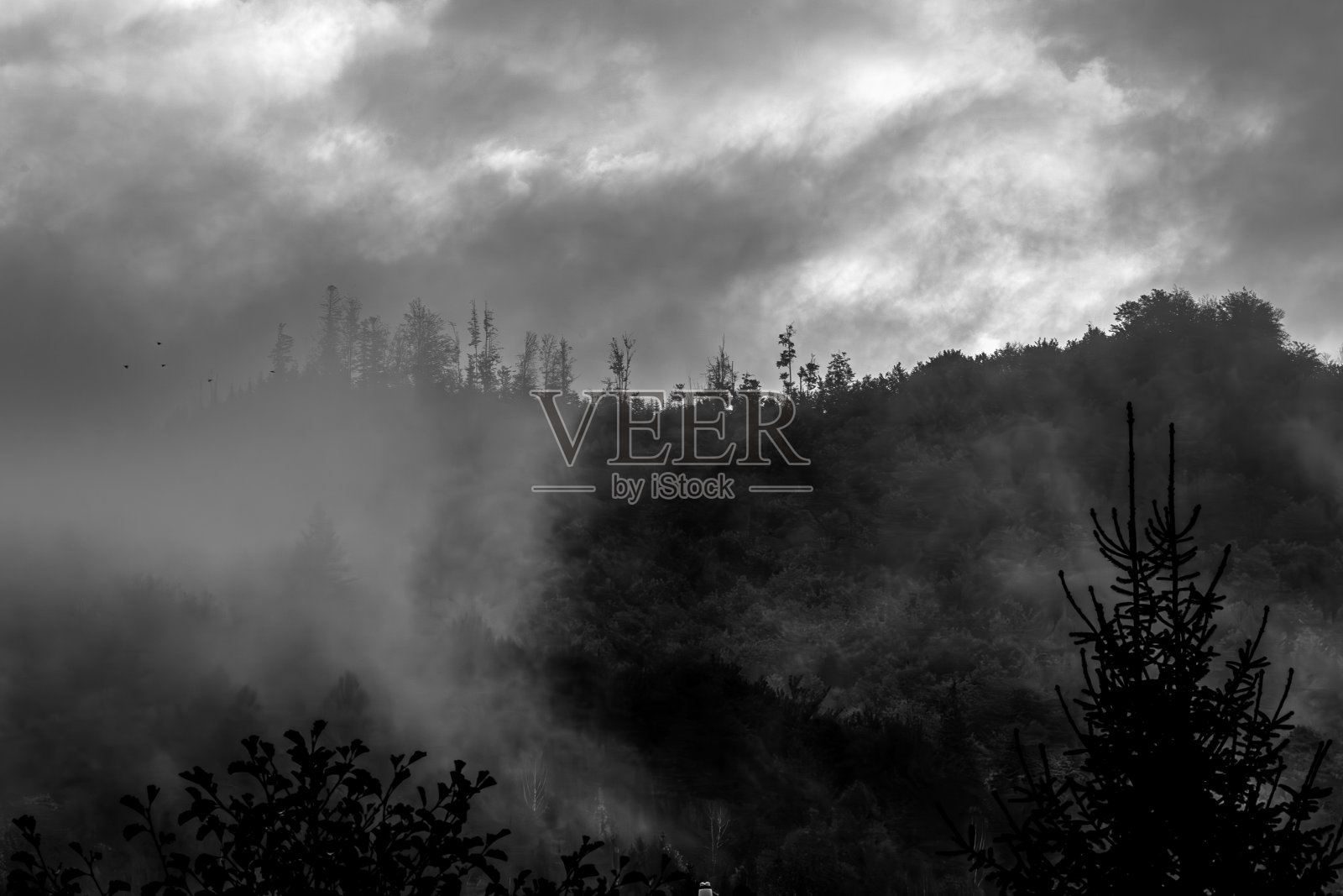 雾蒙蒙的早晨，森林覆盖的山脉在秋天的景观照片摄影图片