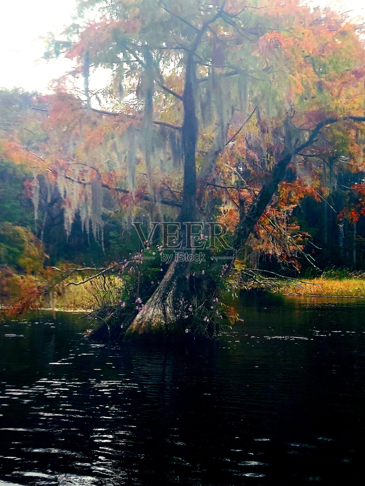 彩虹河照片摄影图片