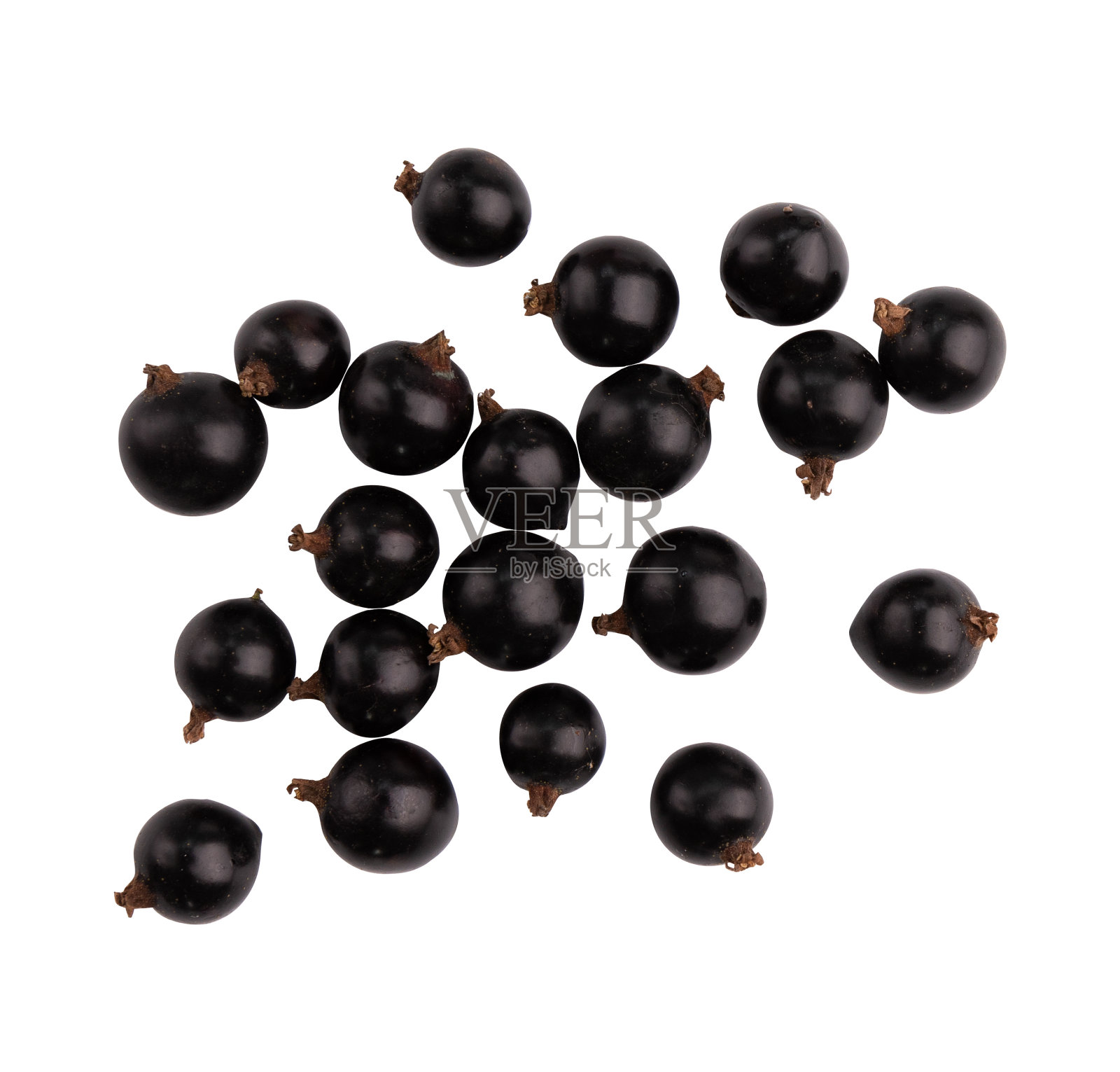 新鲜成熟的黑加仑子，孤立在白色背景上照片摄影图片
