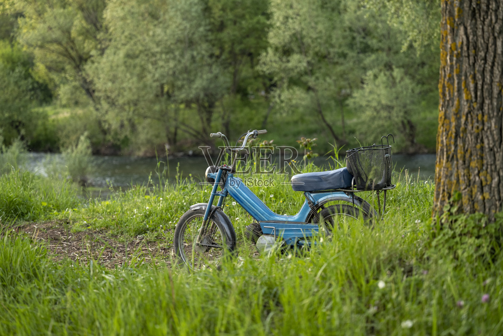 一辆大轮子的蓝色旧摩托车停在森林里的一棵树旁。背景中可以看到那条河。照片摄影图片