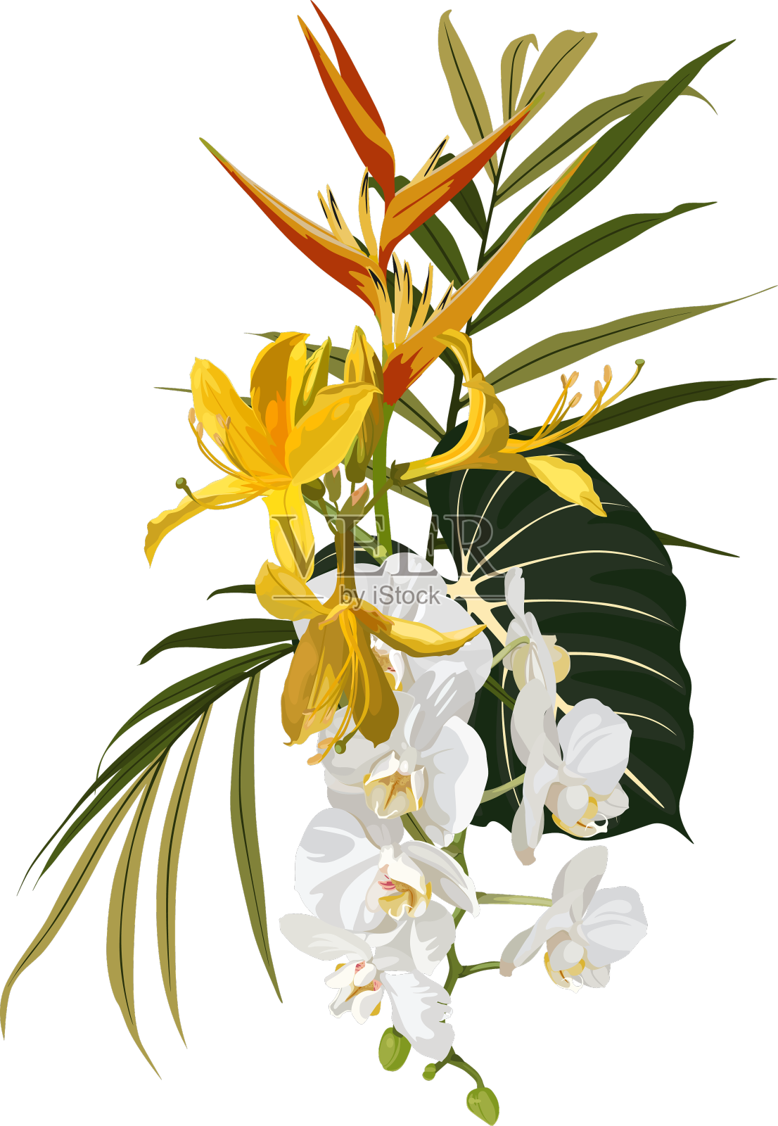 花框架与兰花和黄色异国情调的花朵设计元素图片