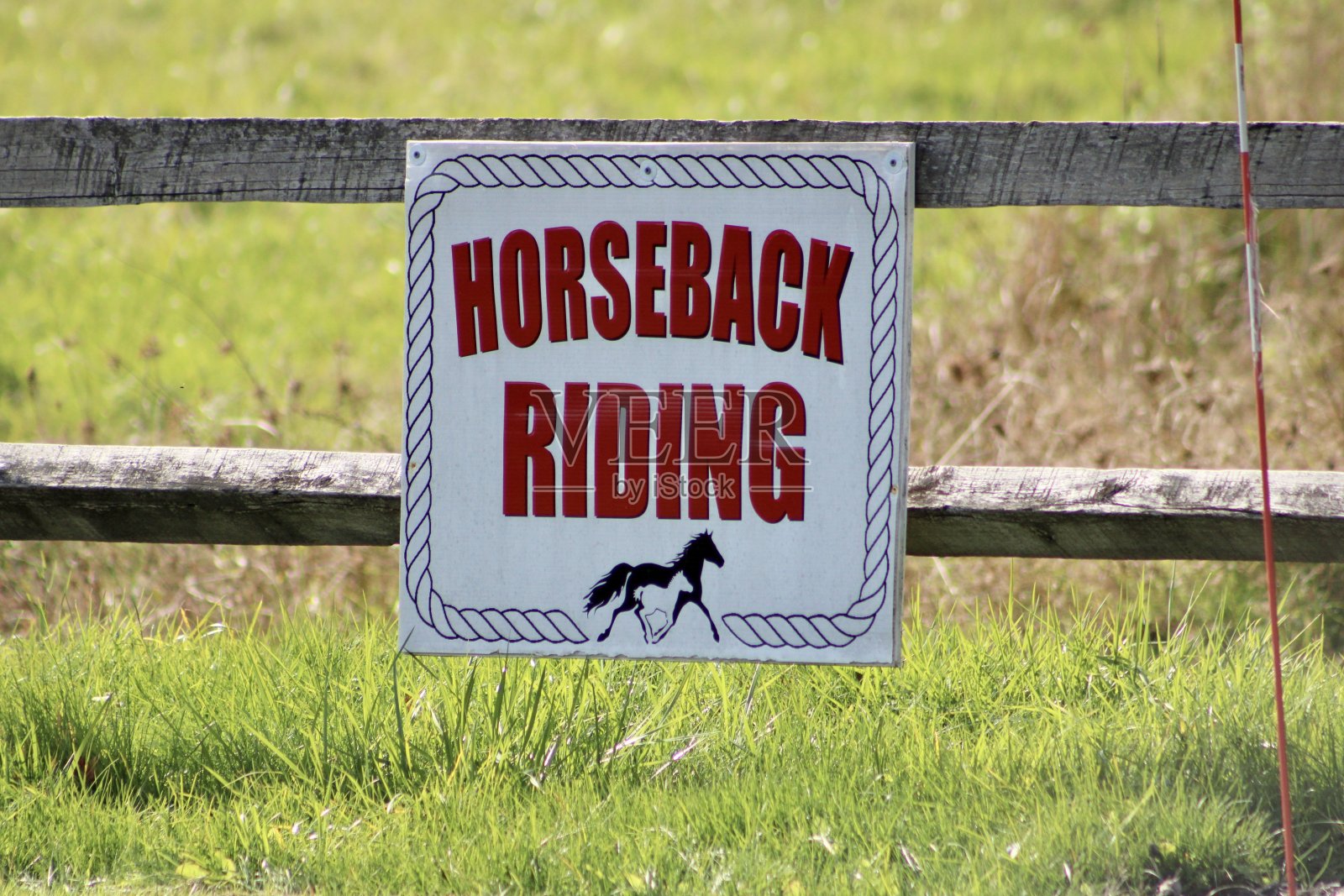 骑马照片摄影图片