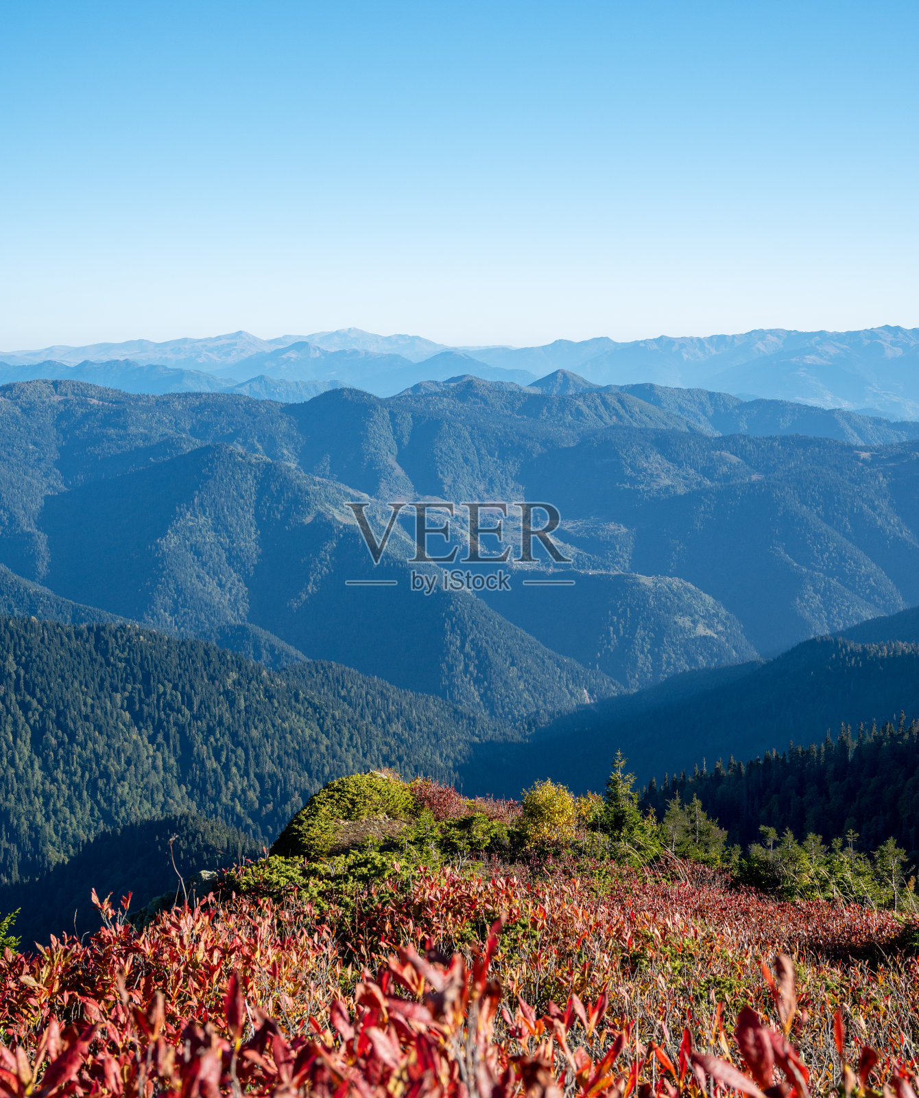 美丽的山景与彩色树木，蓝天和雪峰在晴天。穿越乔治亚州的群山。照片摄影图片